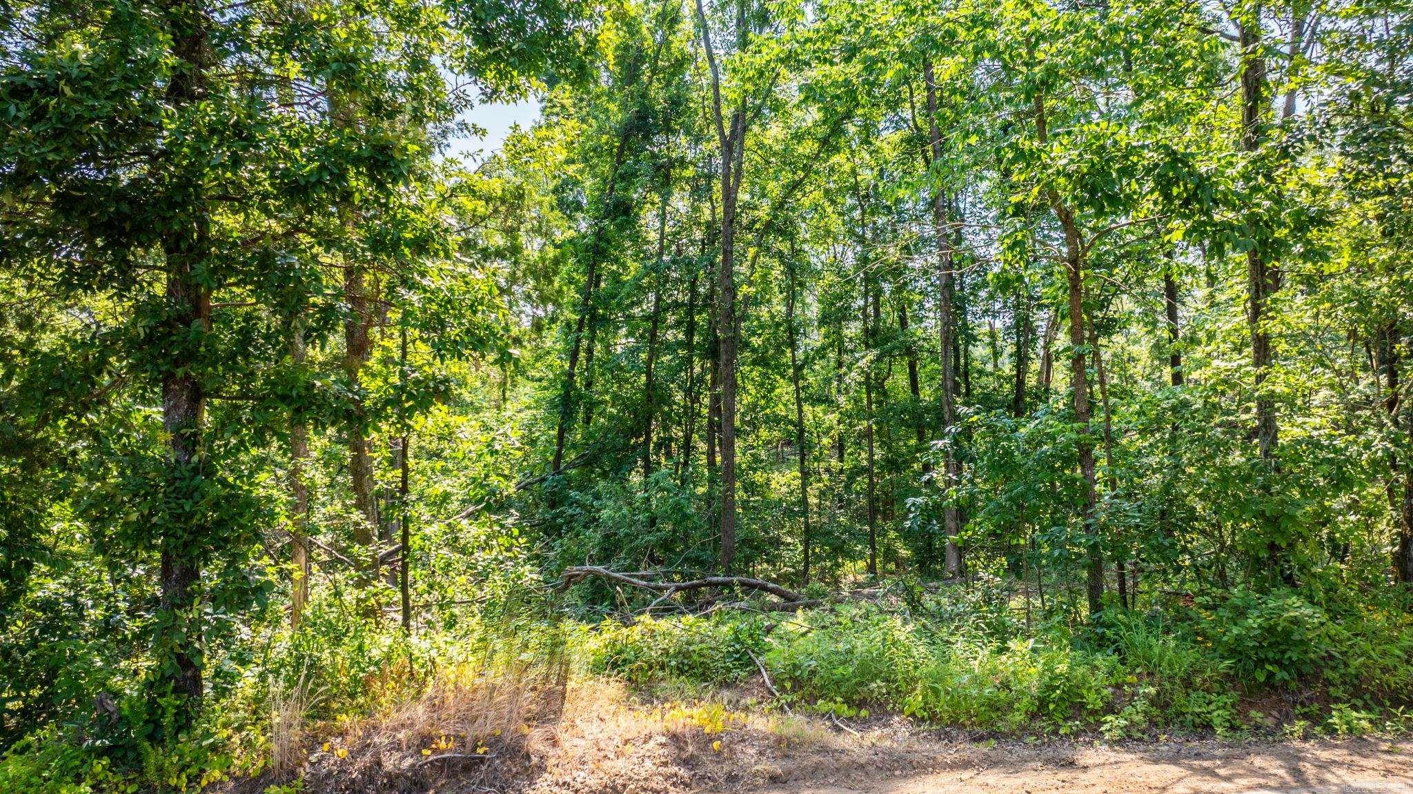 Tract 1 Harmony Mountain Road  Clinton, AR