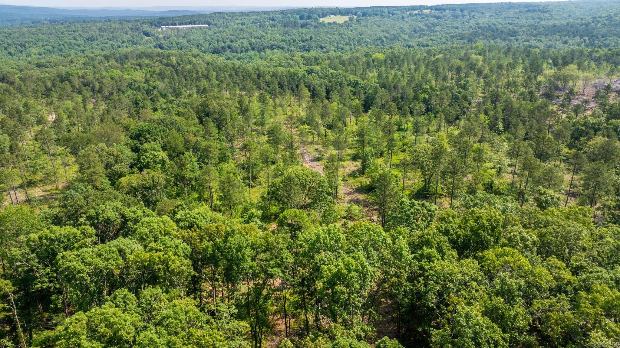 Tract 1 Harmony Mountain Road  Clinton, AR