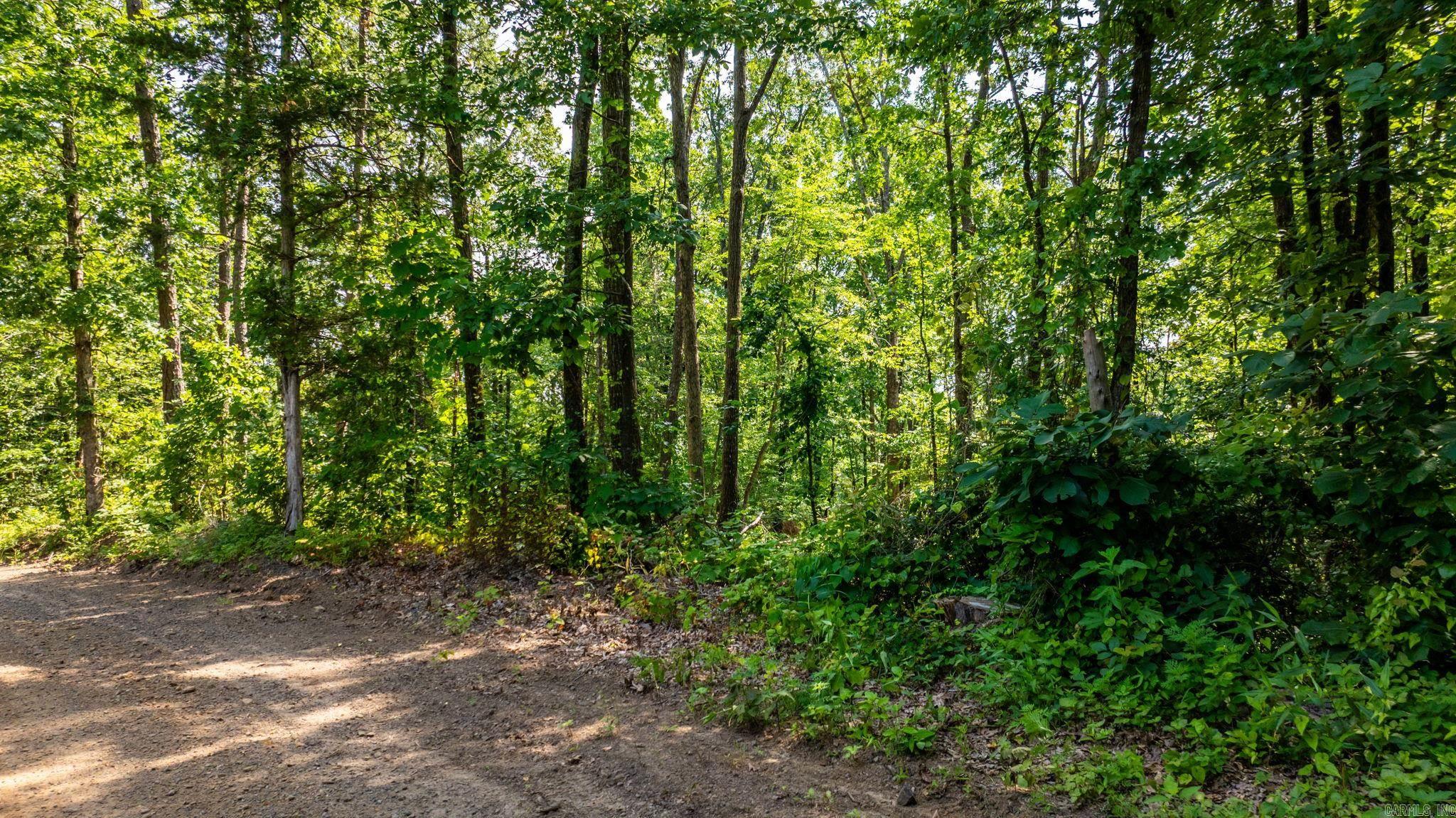 Tract 2 Harmony Mountain Road  Clinton, AR