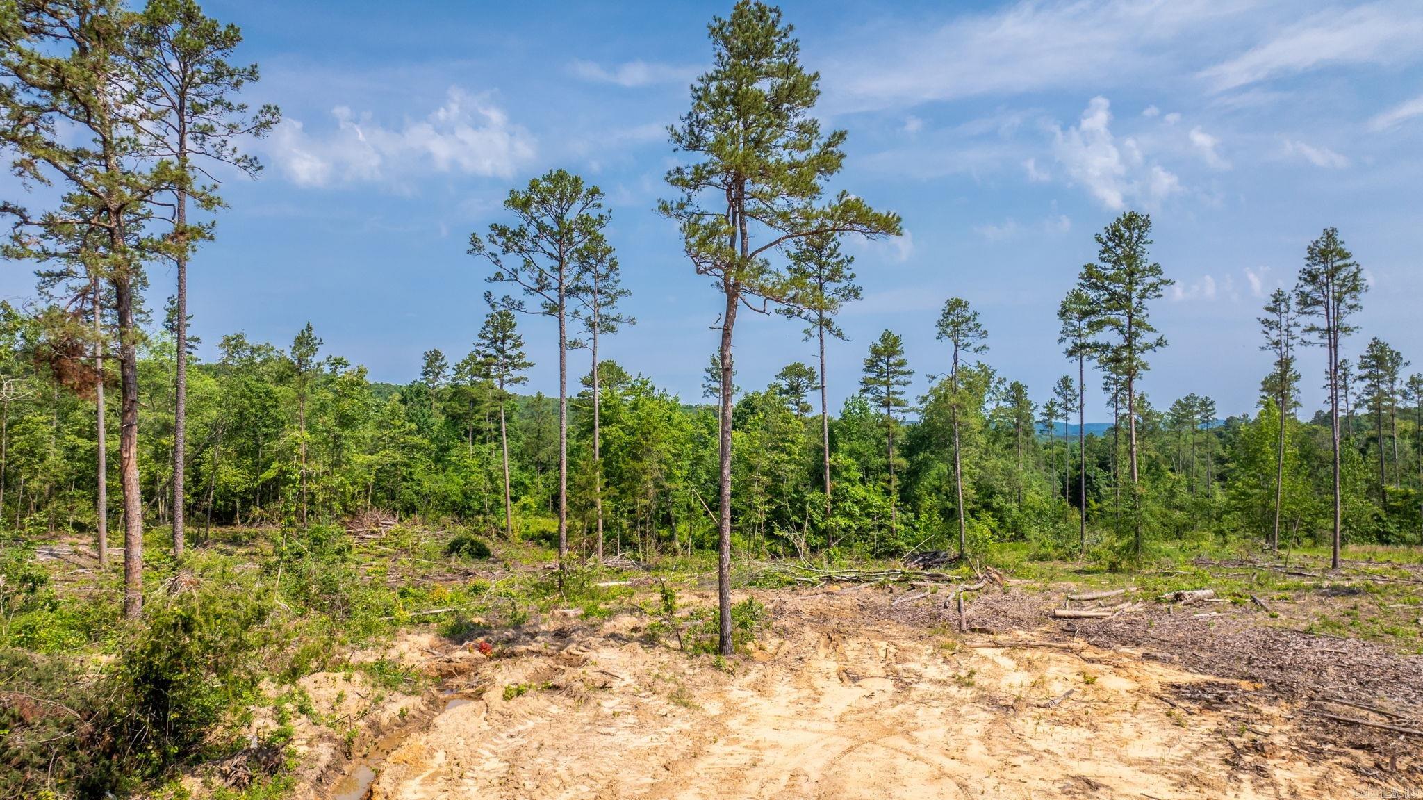 Tract 3 Harmony Mountain Road  Clinton, AR