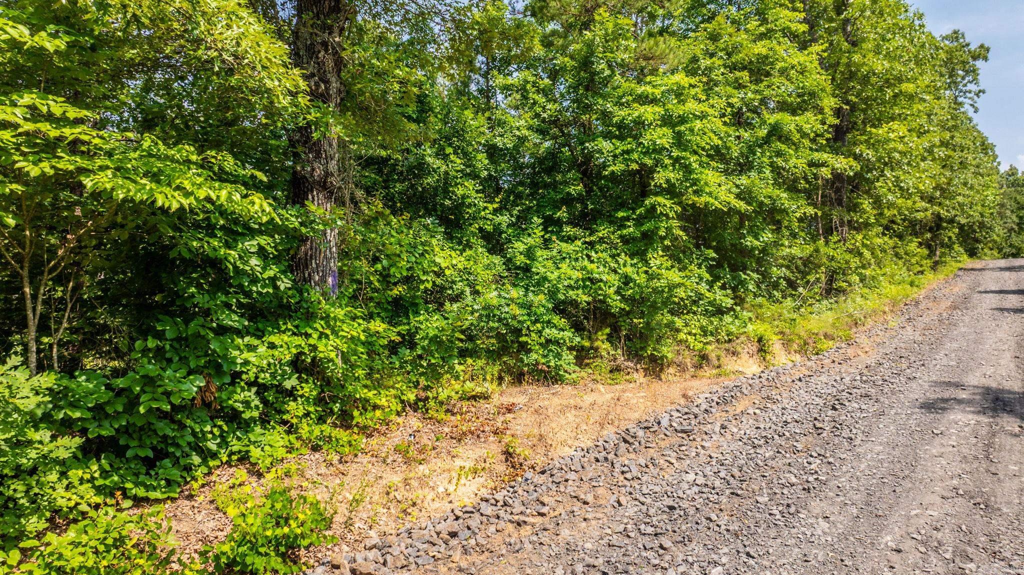 Tract 5 Harmony Mountain Road  Clinton, AR