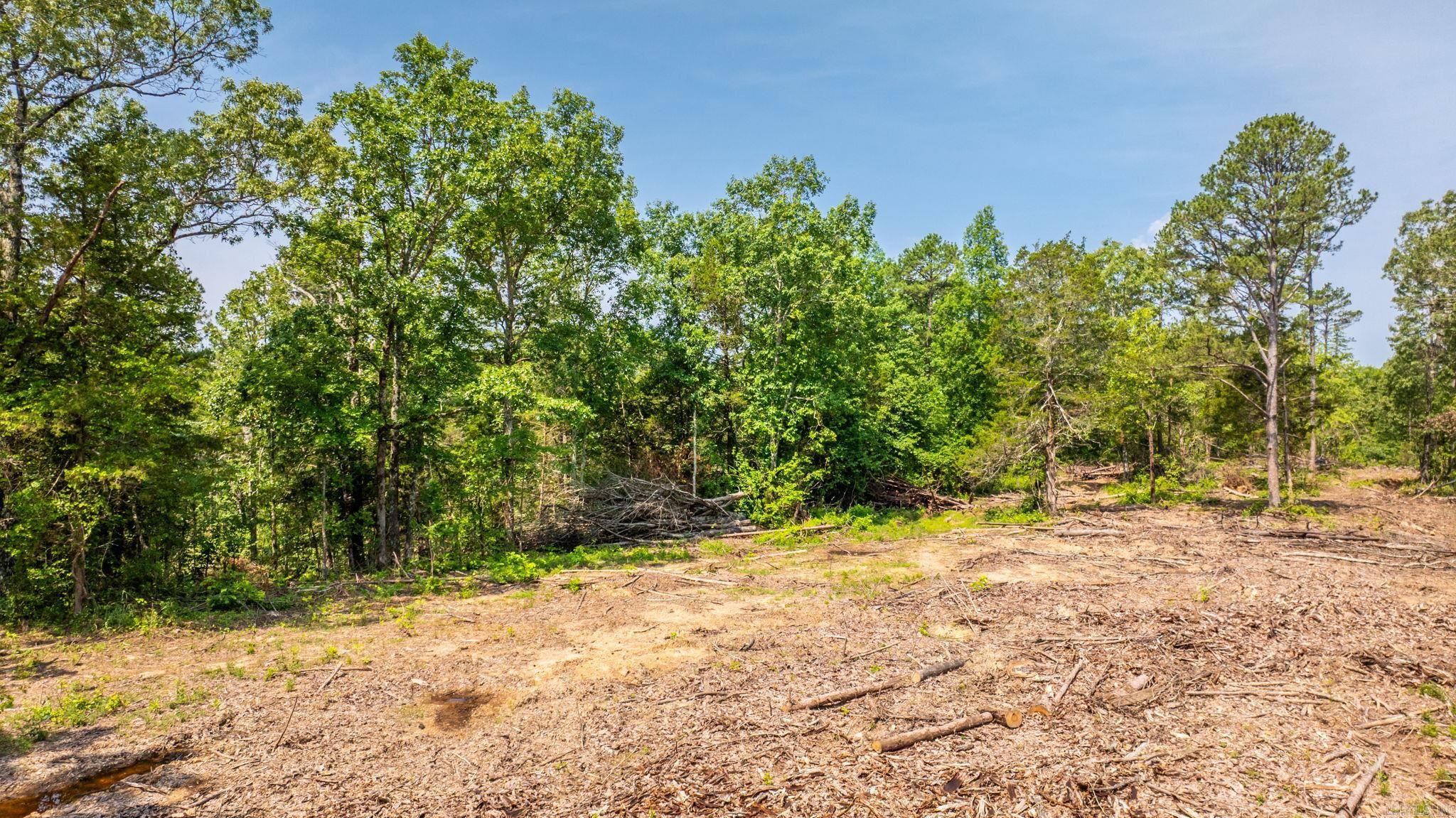 Tract 5 Harmony Mountain Road  Clinton, AR