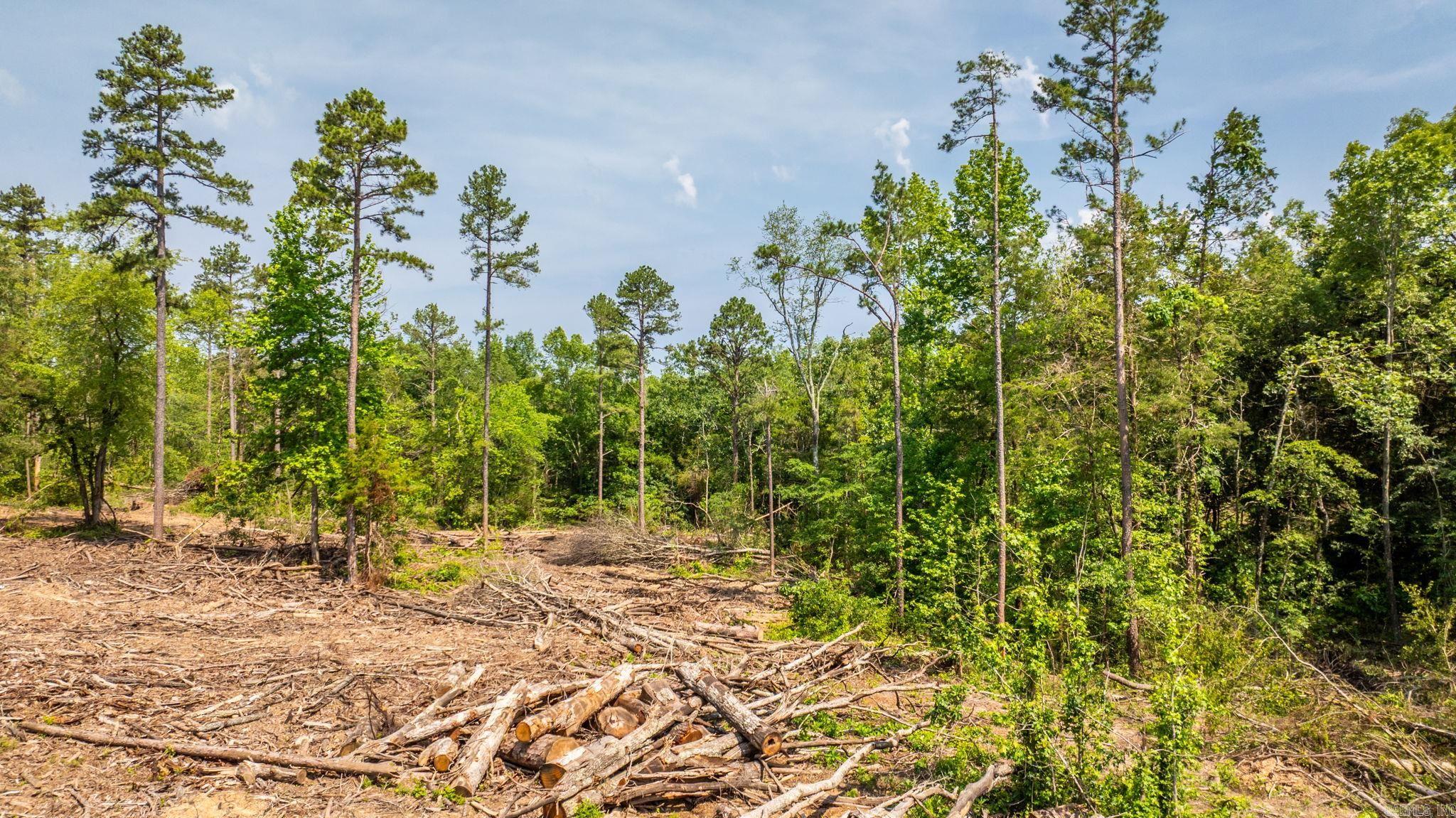 Tract 5 Harmony Mountain Road  Clinton, AR