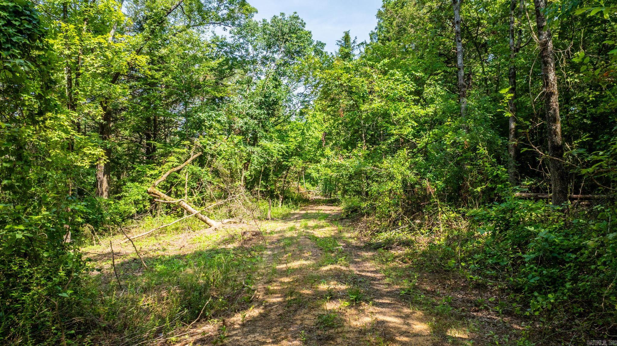 Tract 6 Harmony Mountain Road  Clinton, AR