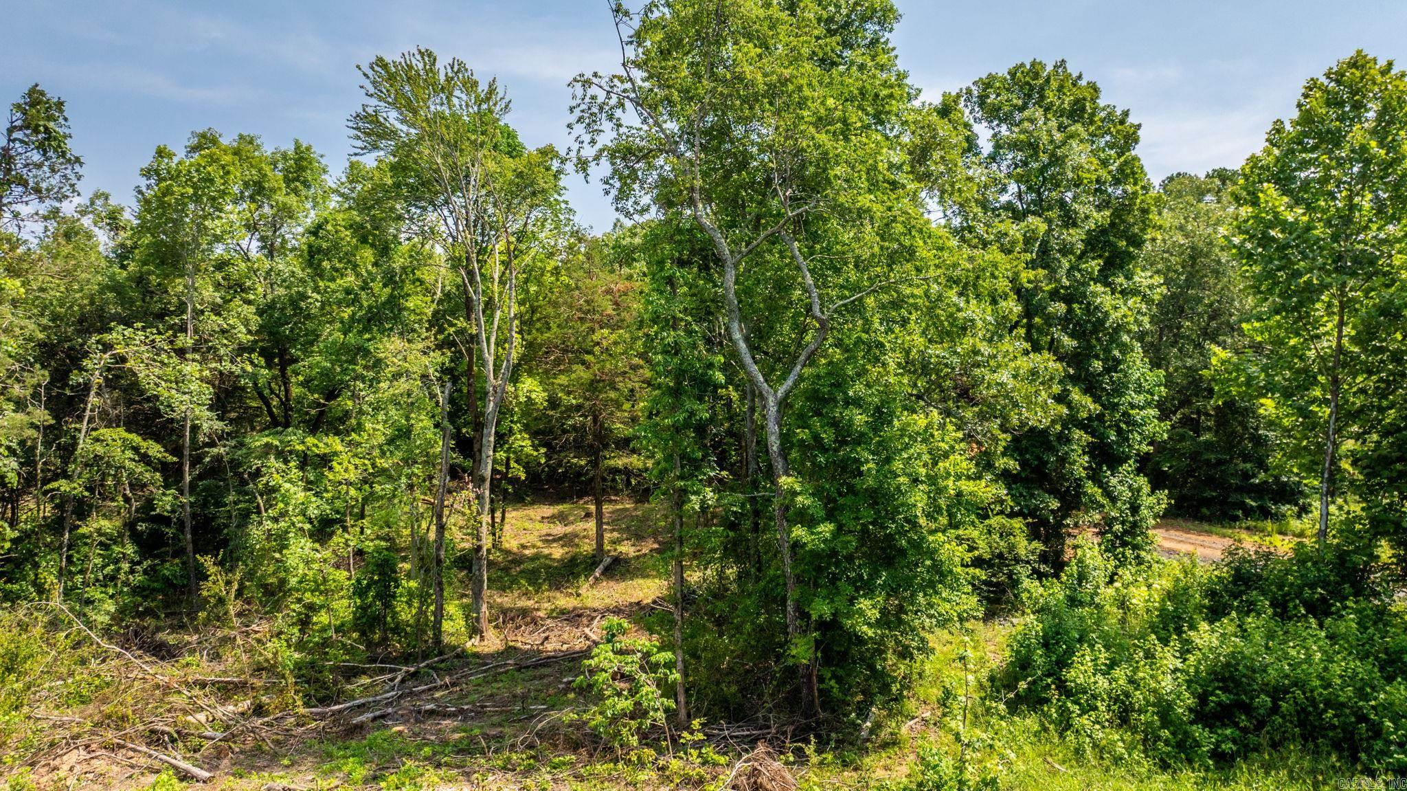 Tract 8 Harmony Mountain Road  Clinton, AR