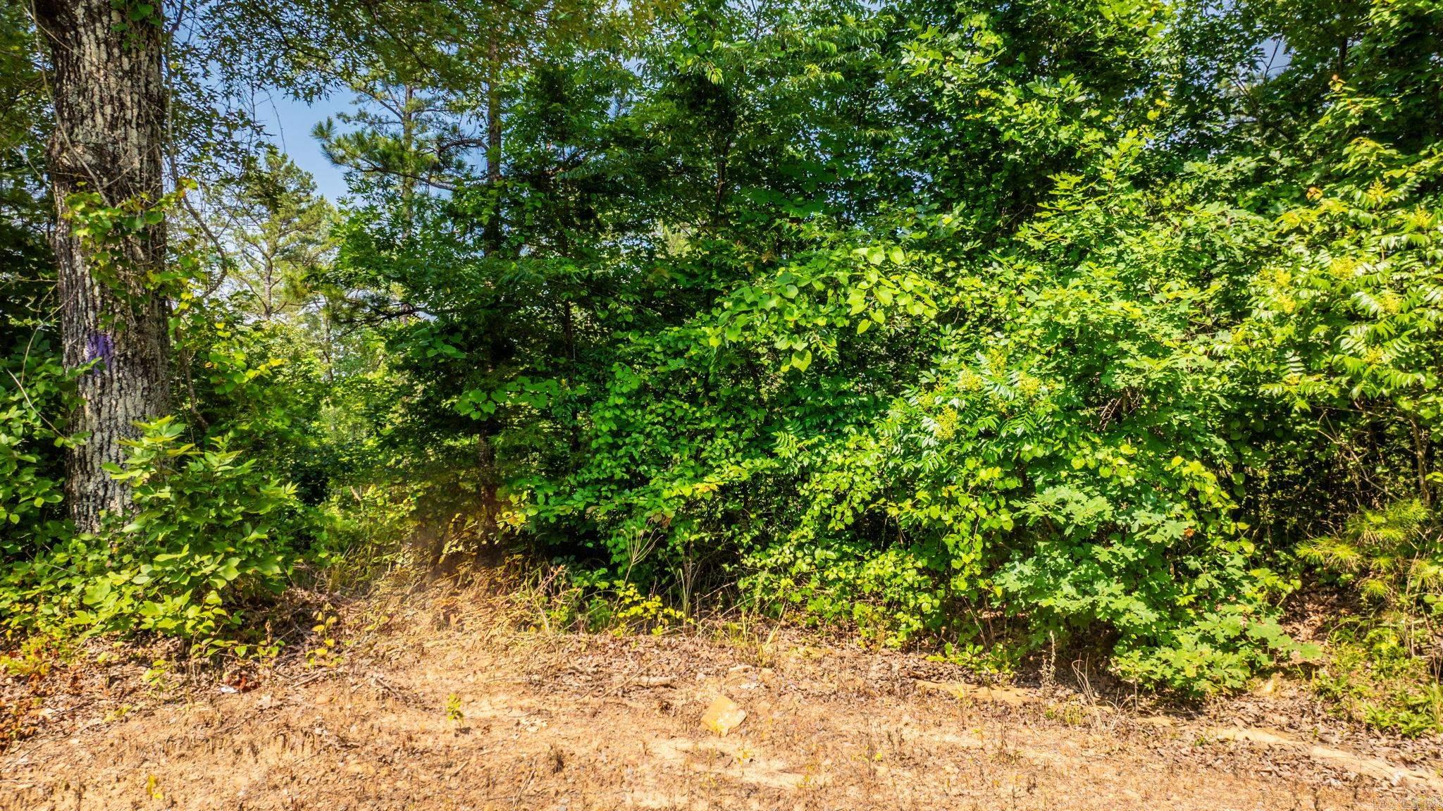 Tract 8 Harmony Mountain Road  Clinton, AR