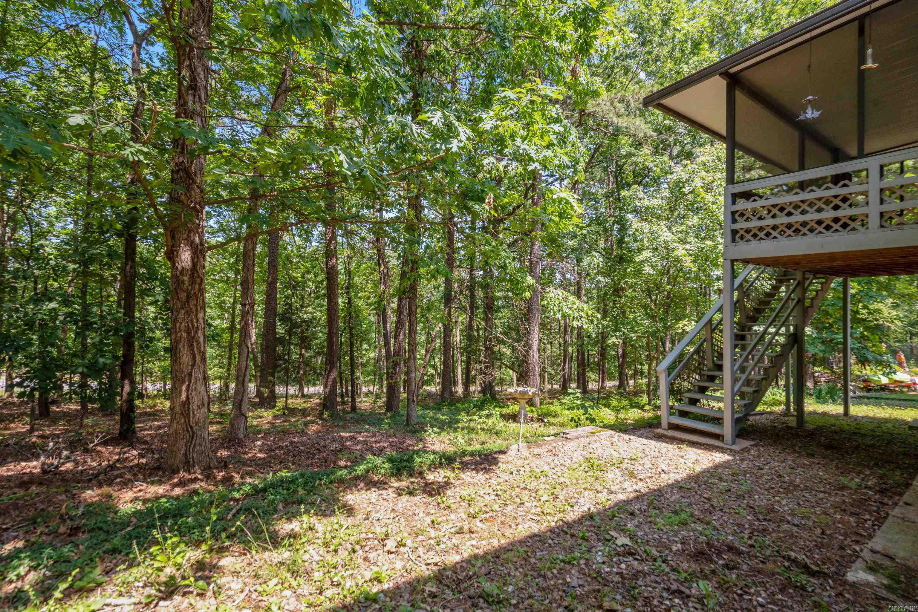 10  Balenciaga  Hot Springs Village, AR
