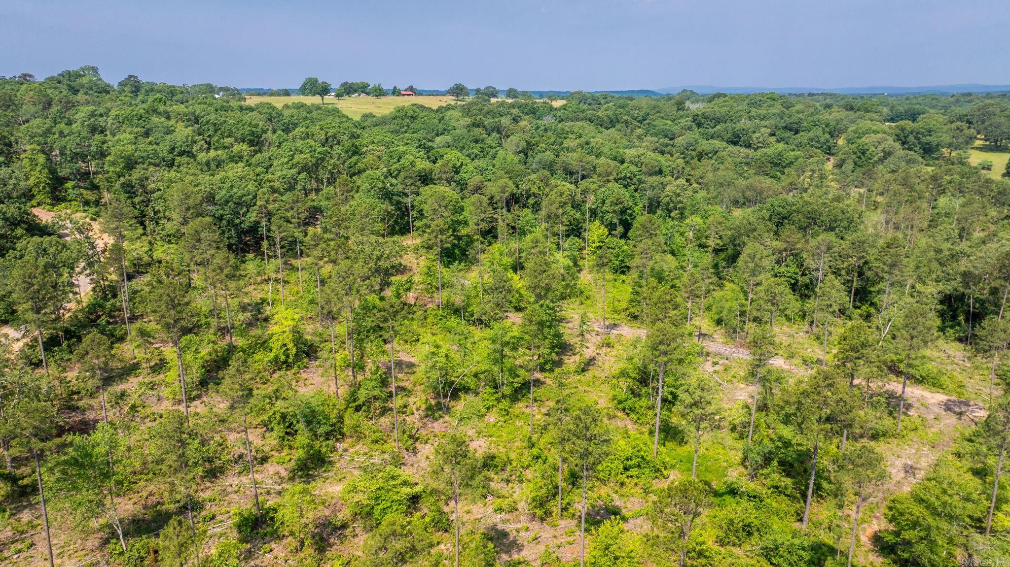 Tract 10 Harmony Mountain Road  Clinton, AR