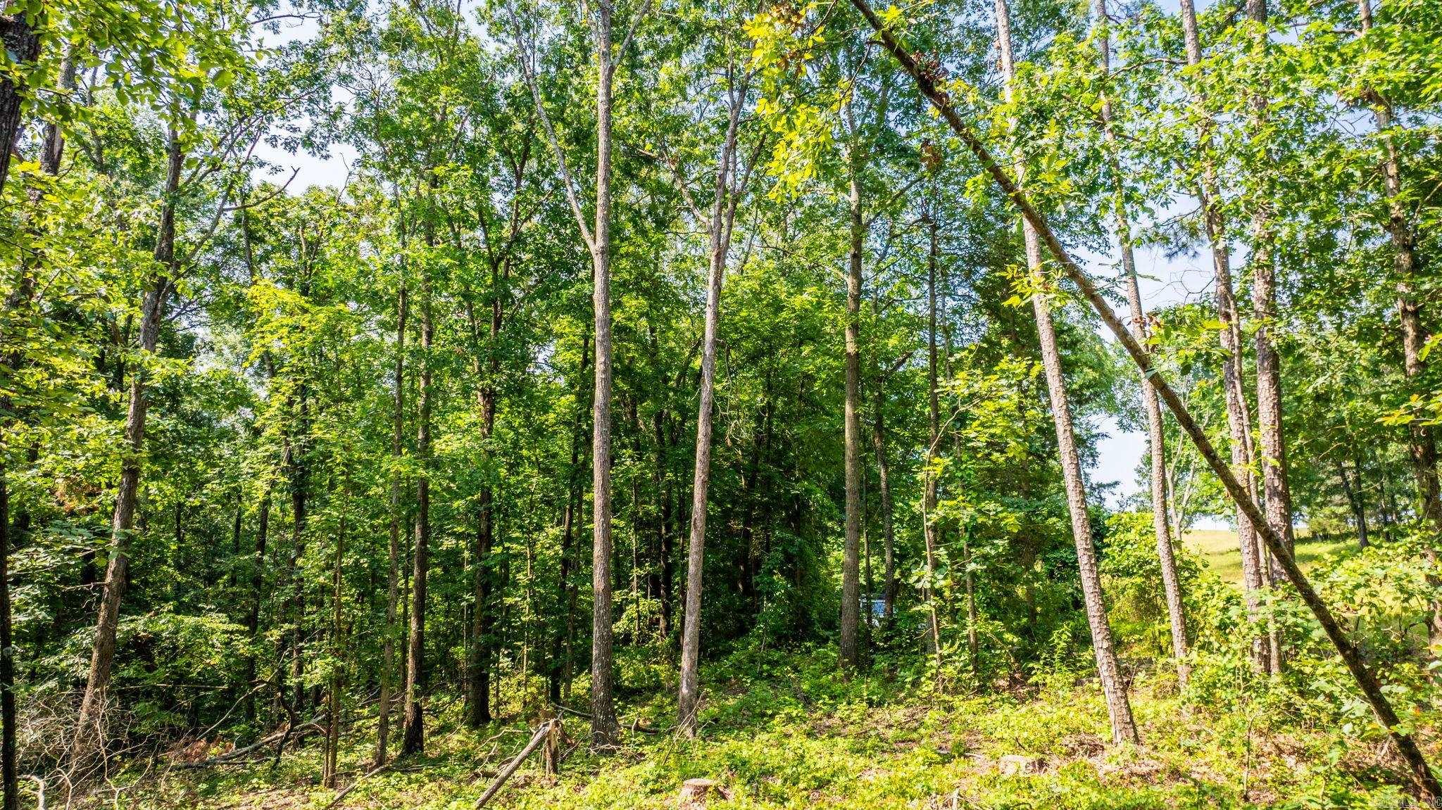 Tract 10 Harmony Mountain Road  Clinton, AR