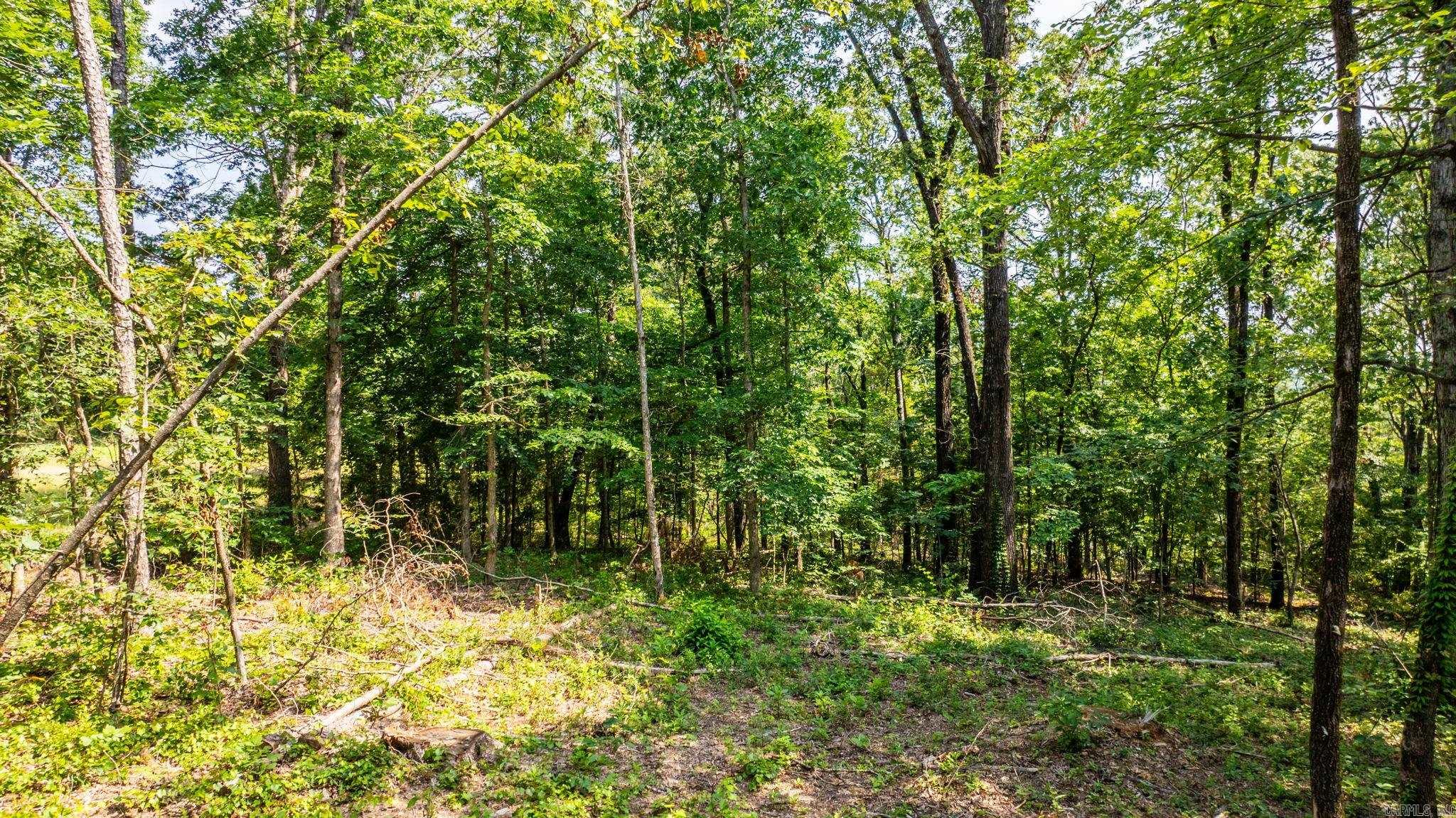 Tract 10 Harmony Mountain Road  Clinton, AR
