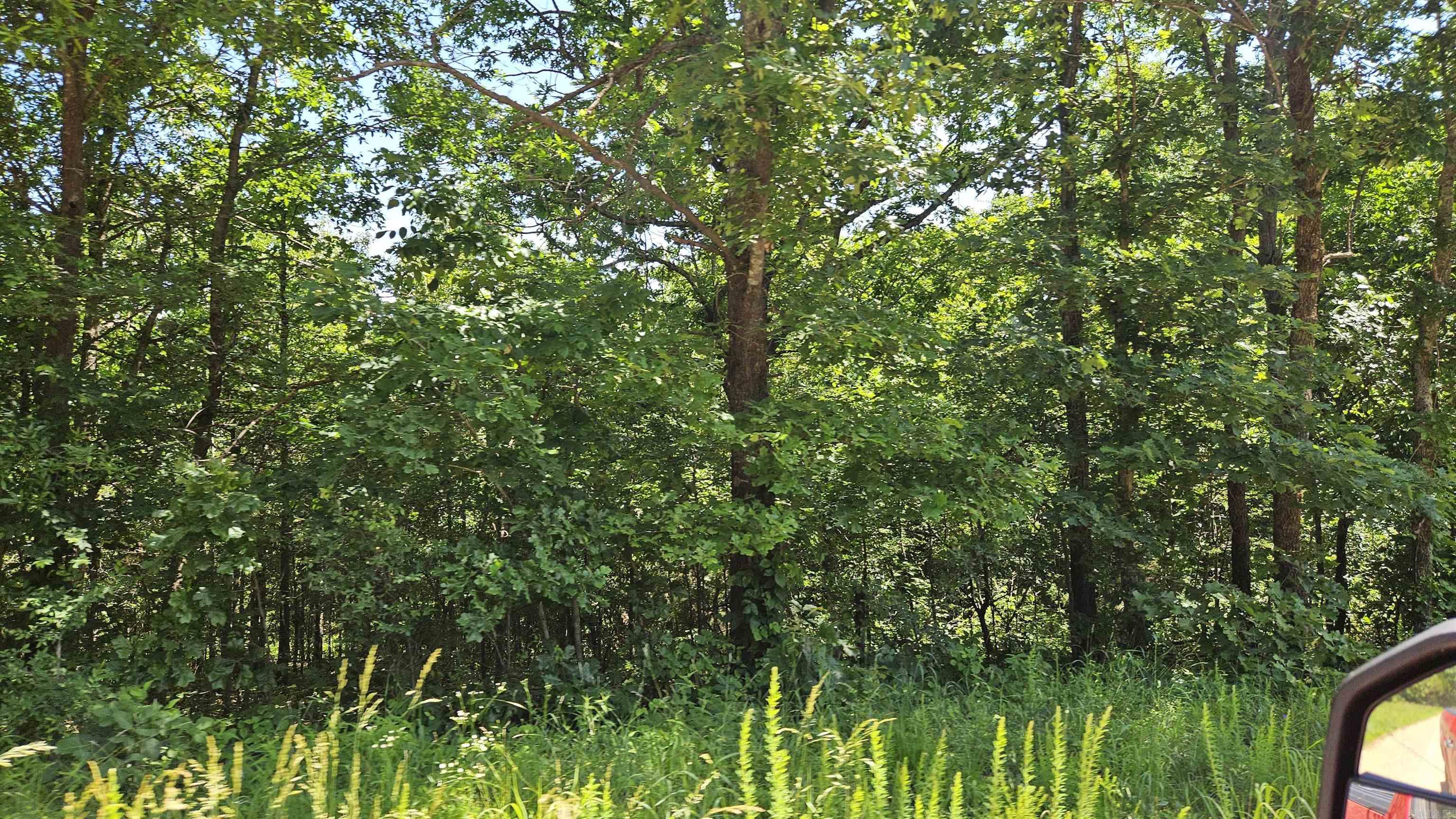 28 County Road 441  Corning, AR