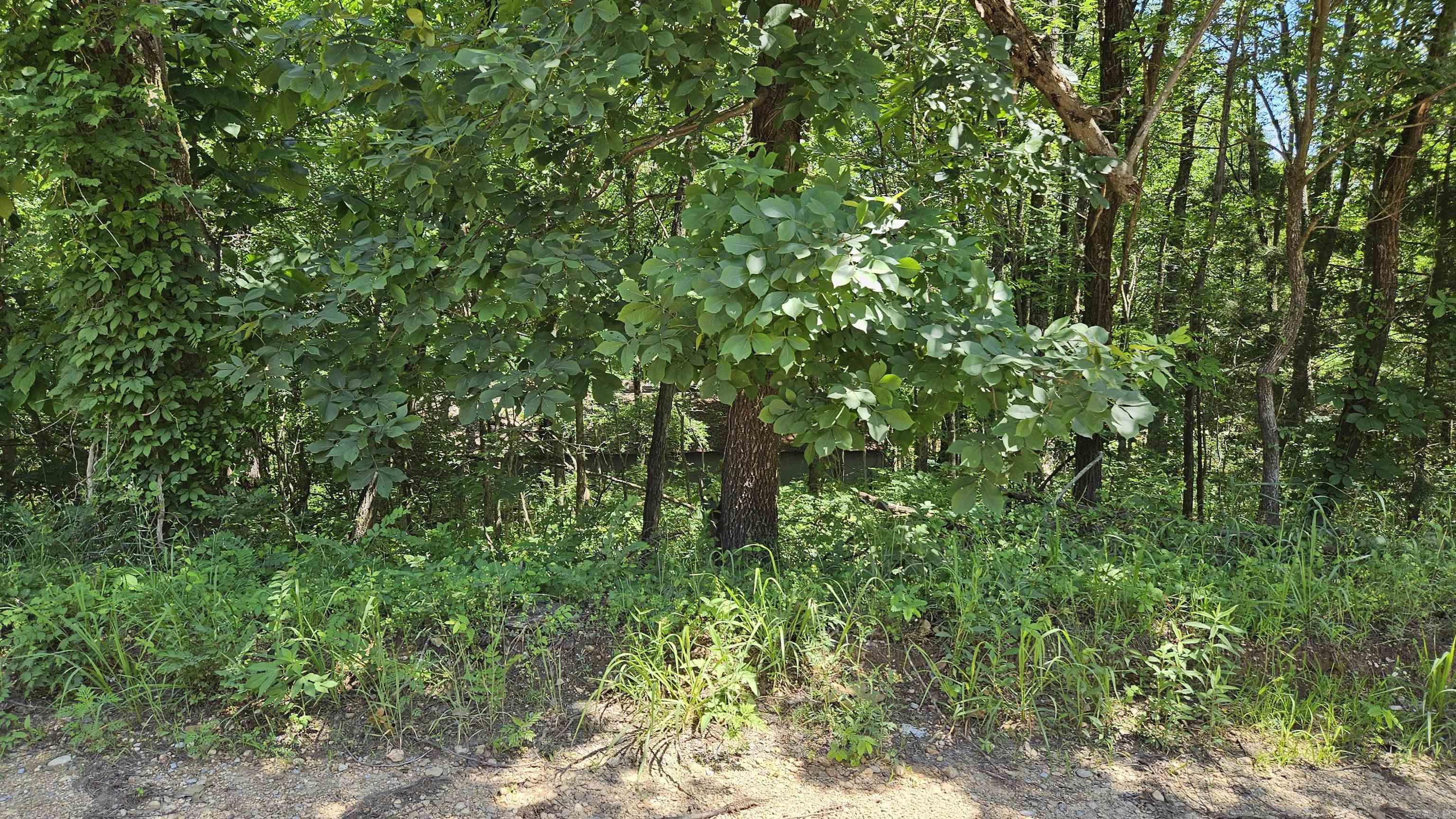 28 County Road 441  Corning, AR