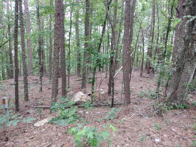 97  Castano  Hot Springs Village, AR