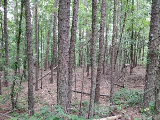 97  Castano  Hot Springs Village, AR