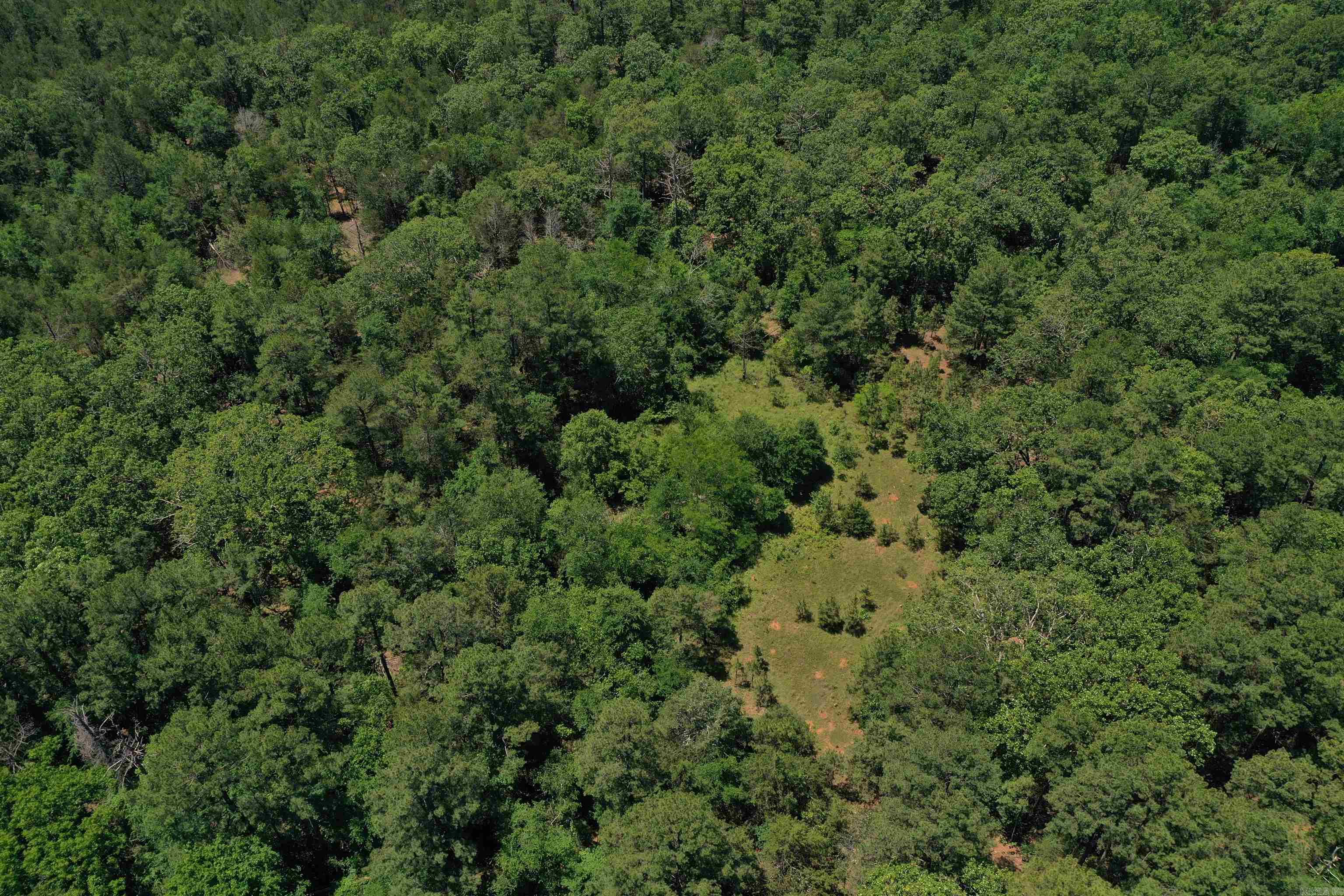 240  Valley View Road  Booneville, AR