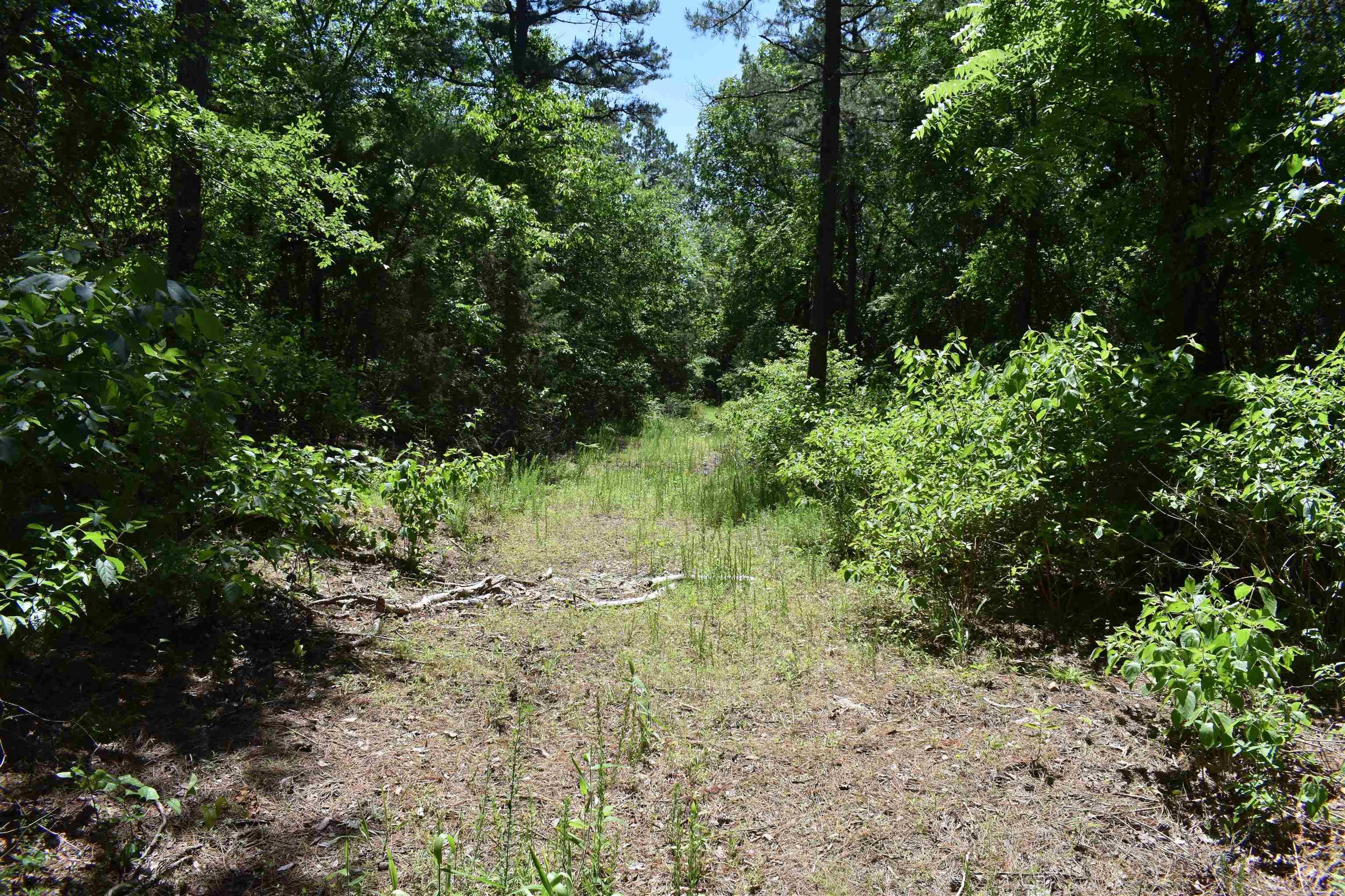 240  Valley View Road  Booneville, AR