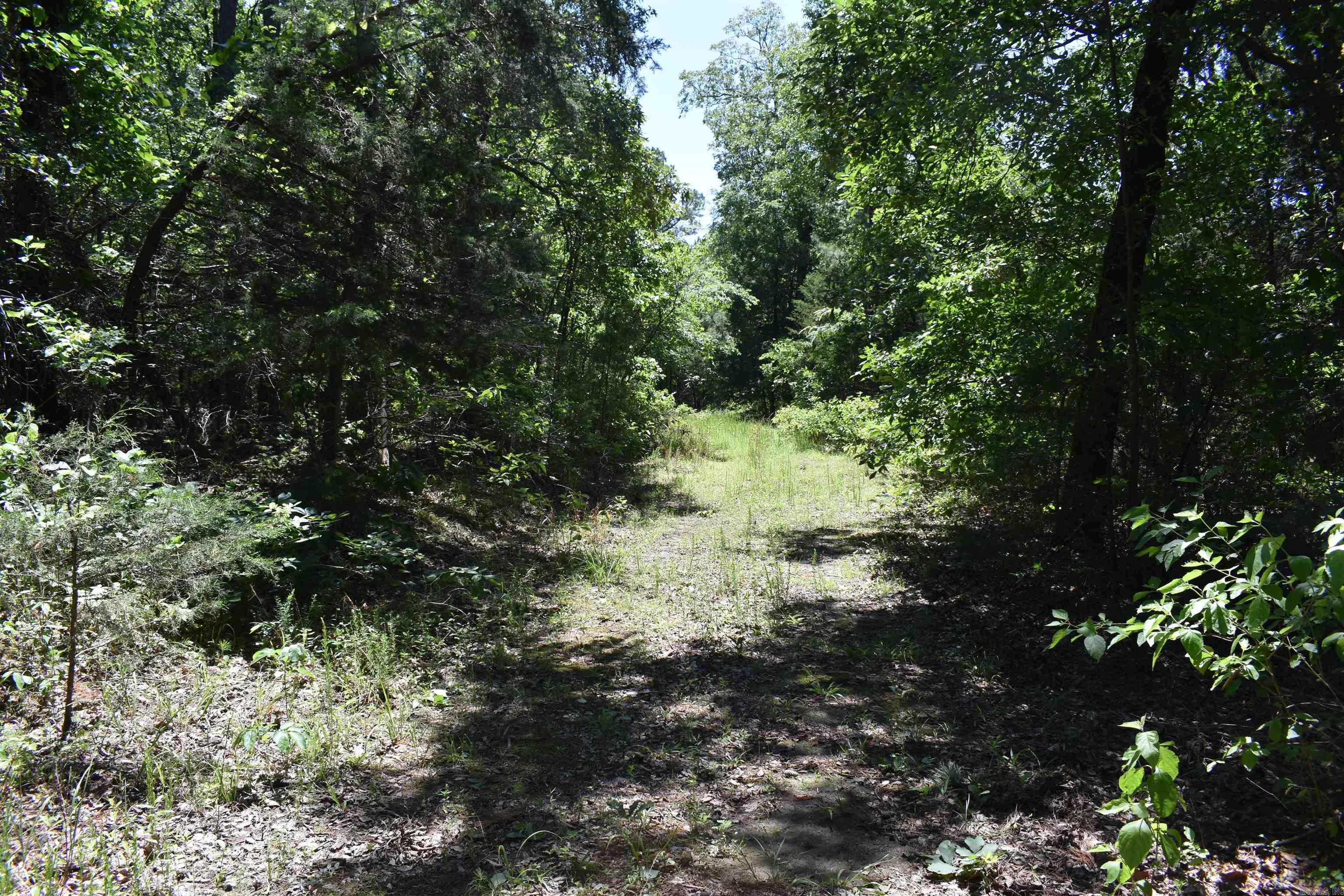 240  Valley View Road  Booneville, AR