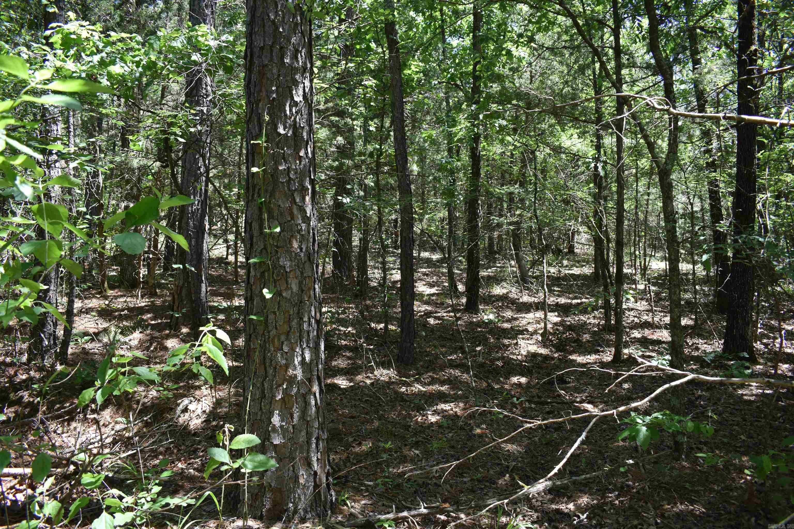 240  Valley View Road  Booneville, AR
