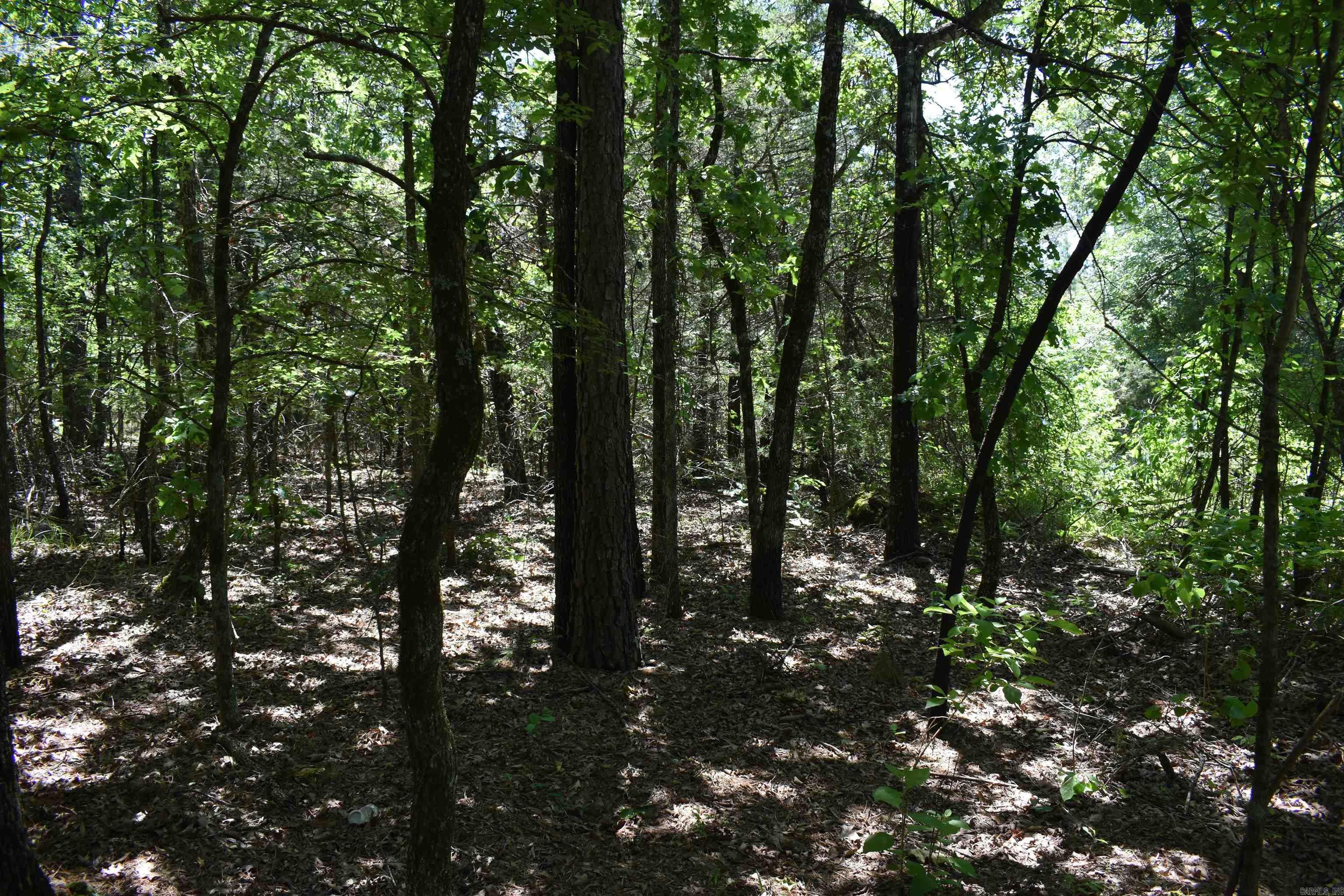 240  Valley View Road  Booneville, AR