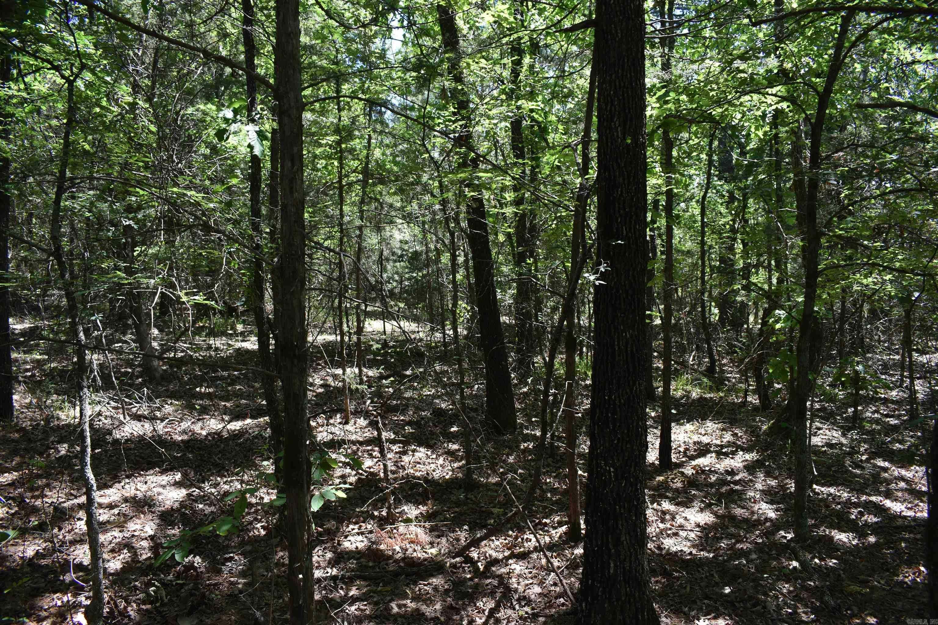 240  Valley View Road  Booneville, AR