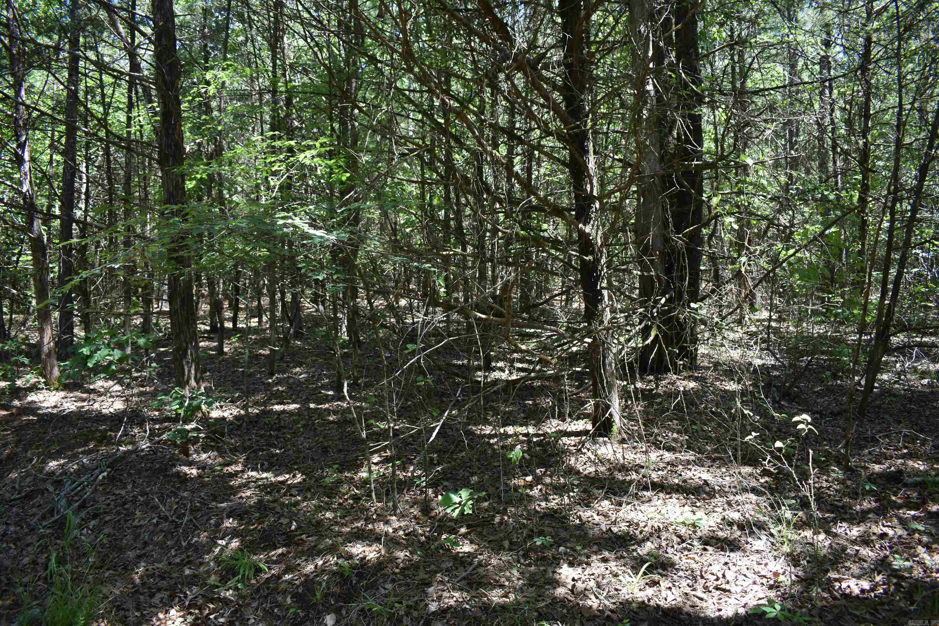 240  Valley View Road  Booneville, AR