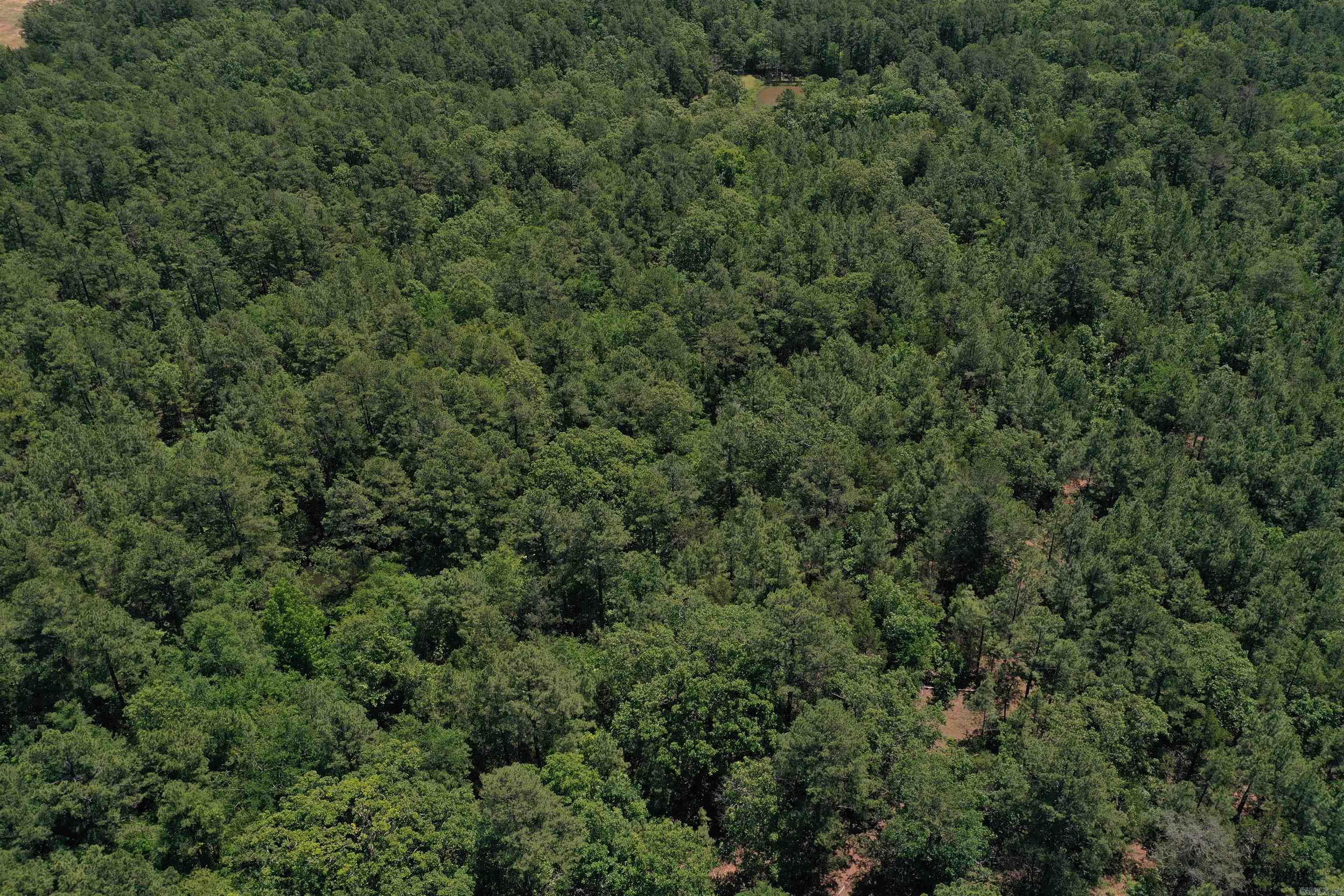 240  Valley View Road  Booneville, AR