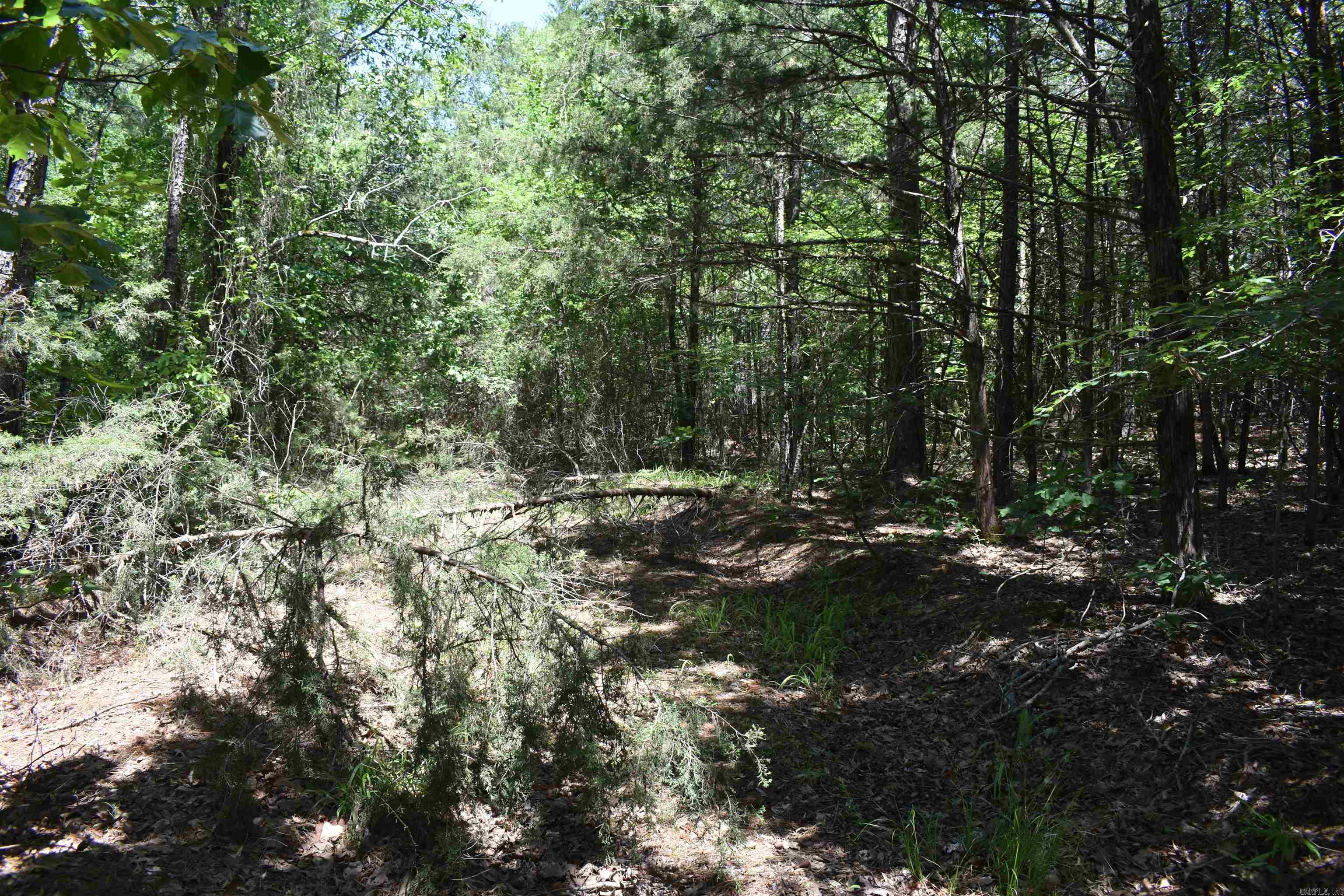 240  Valley View Road  Booneville, AR