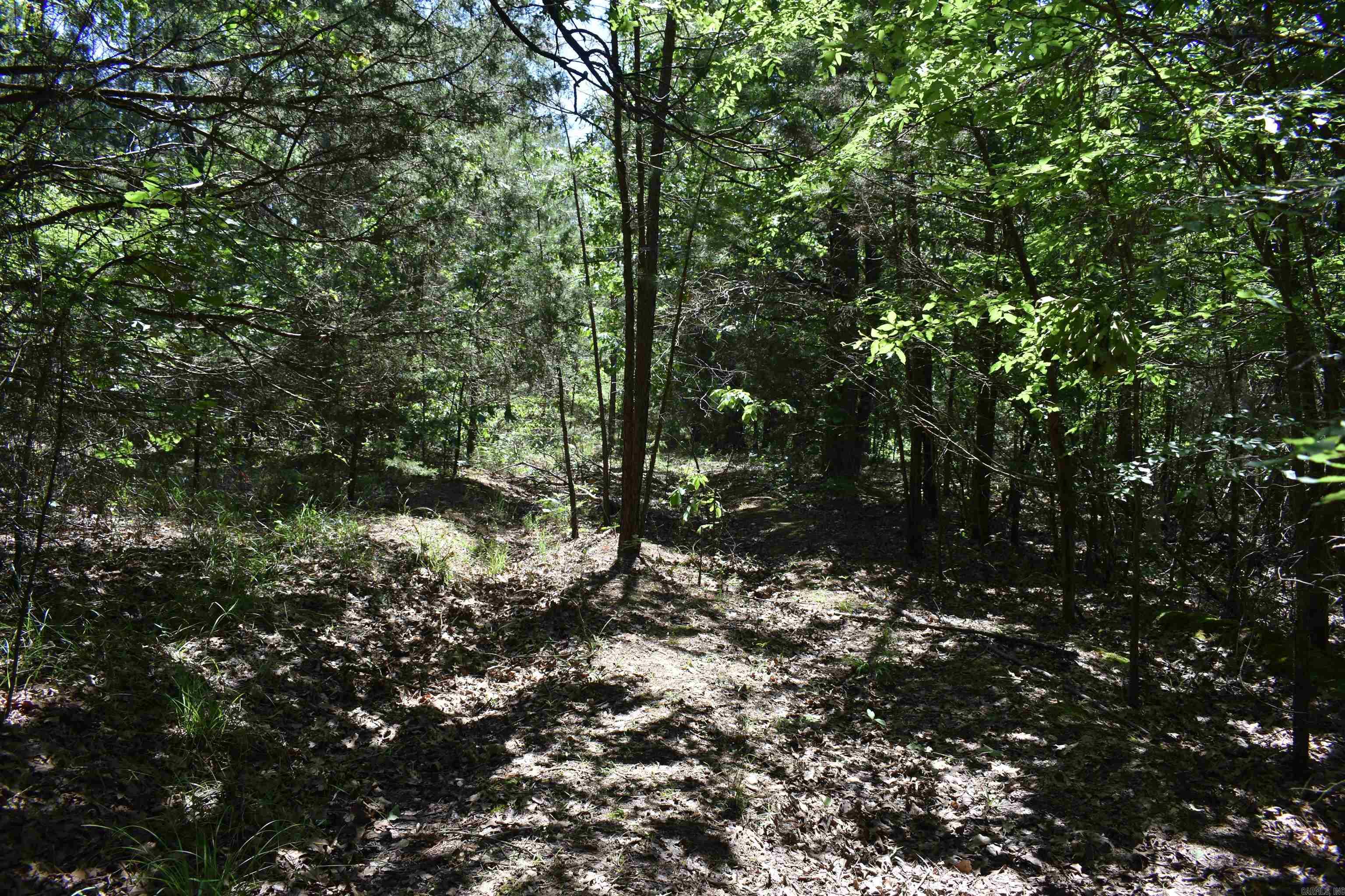 240  Valley View Road  Booneville, AR
