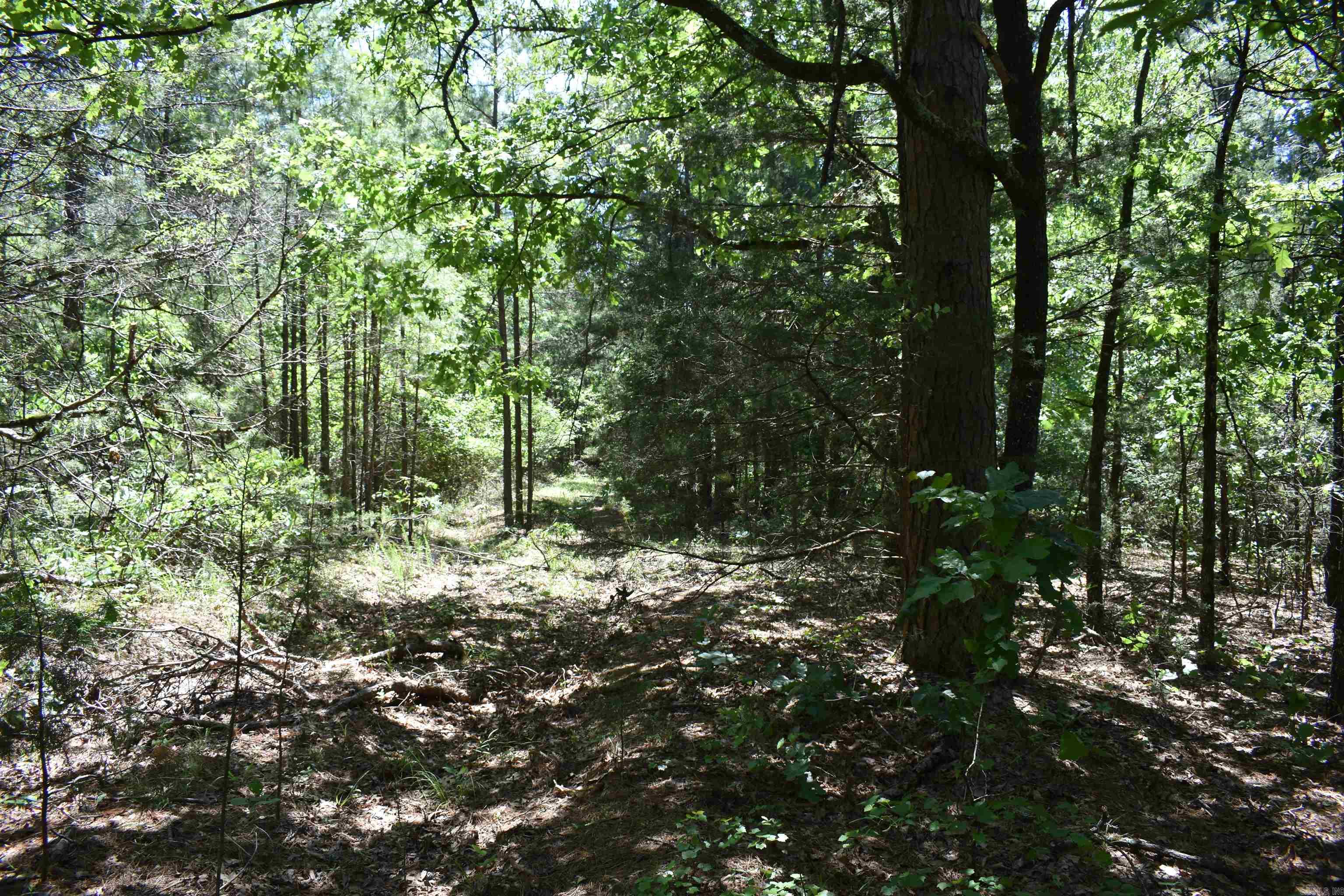 240  Valley View Road  Booneville, AR