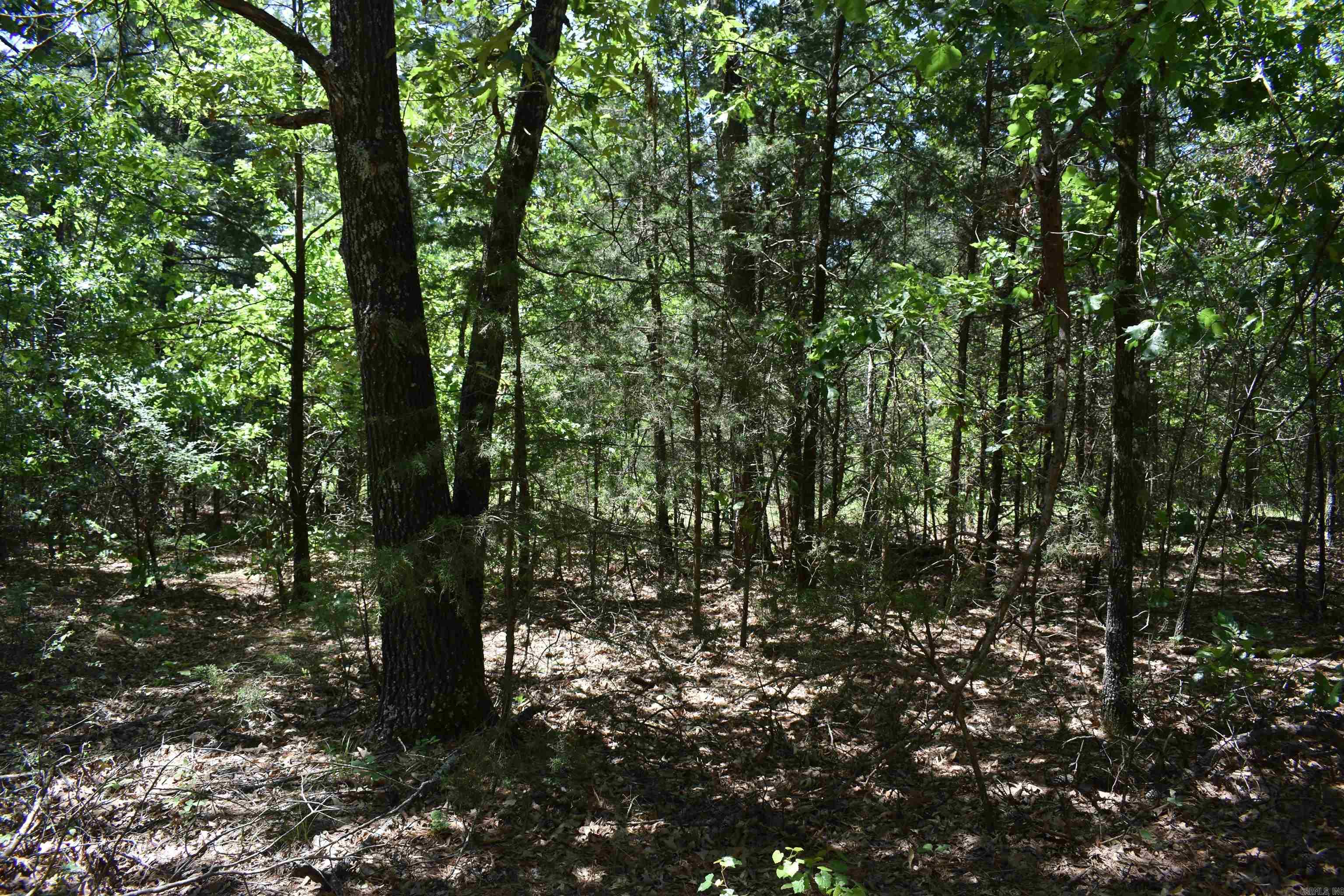 240  Valley View Road  Booneville, AR