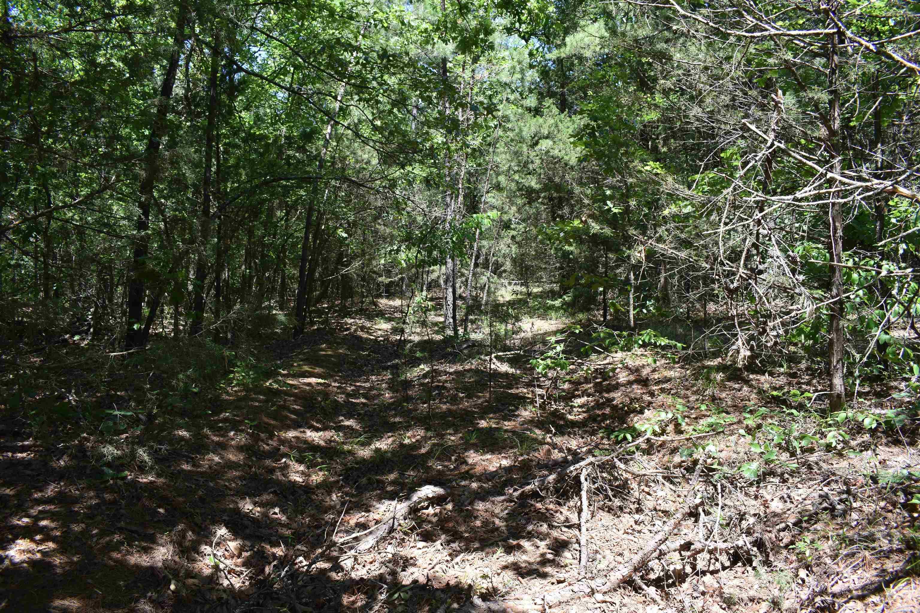 240  Valley View Road  Booneville, AR