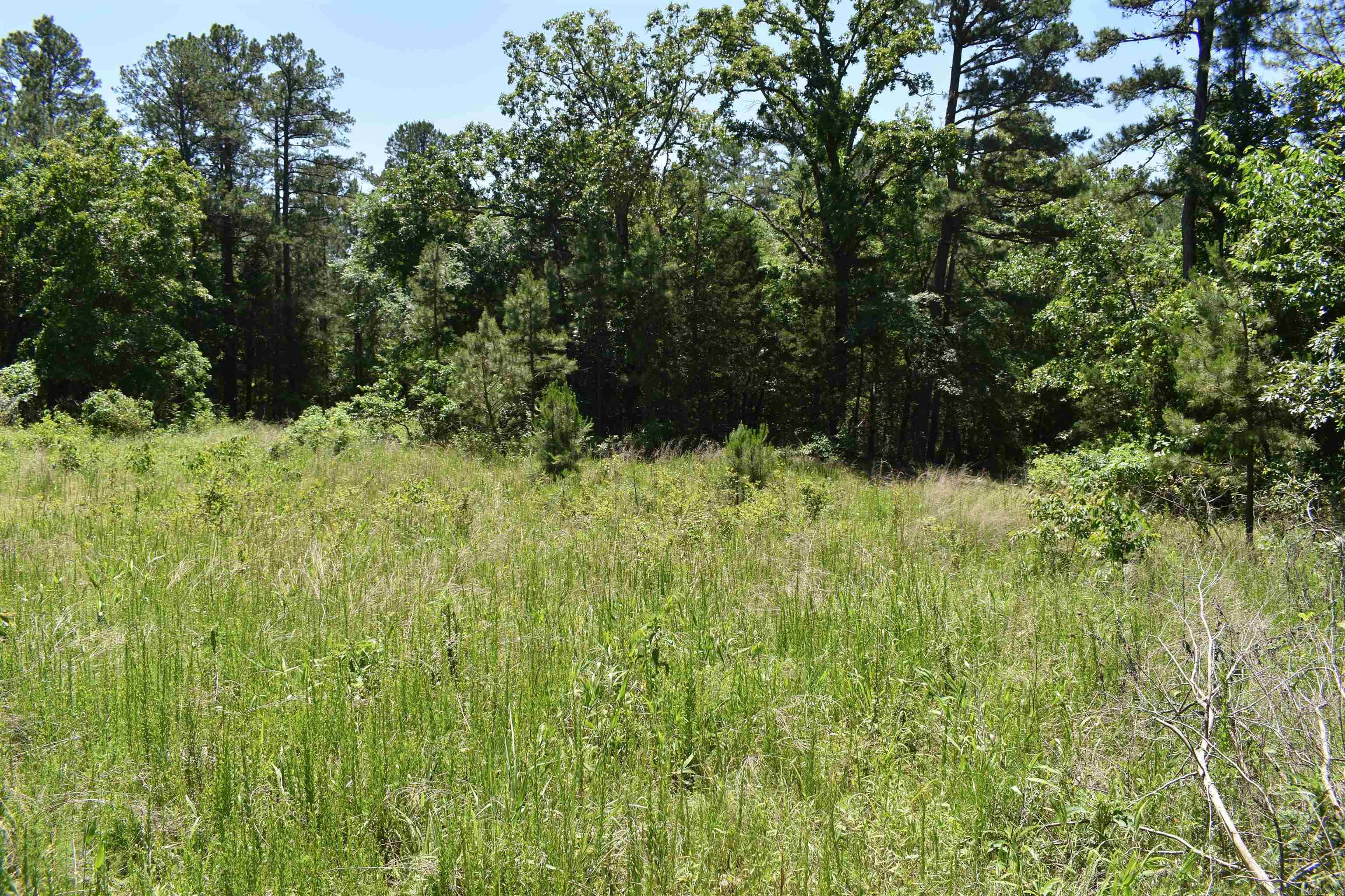 240  Valley View Road  Booneville, AR
