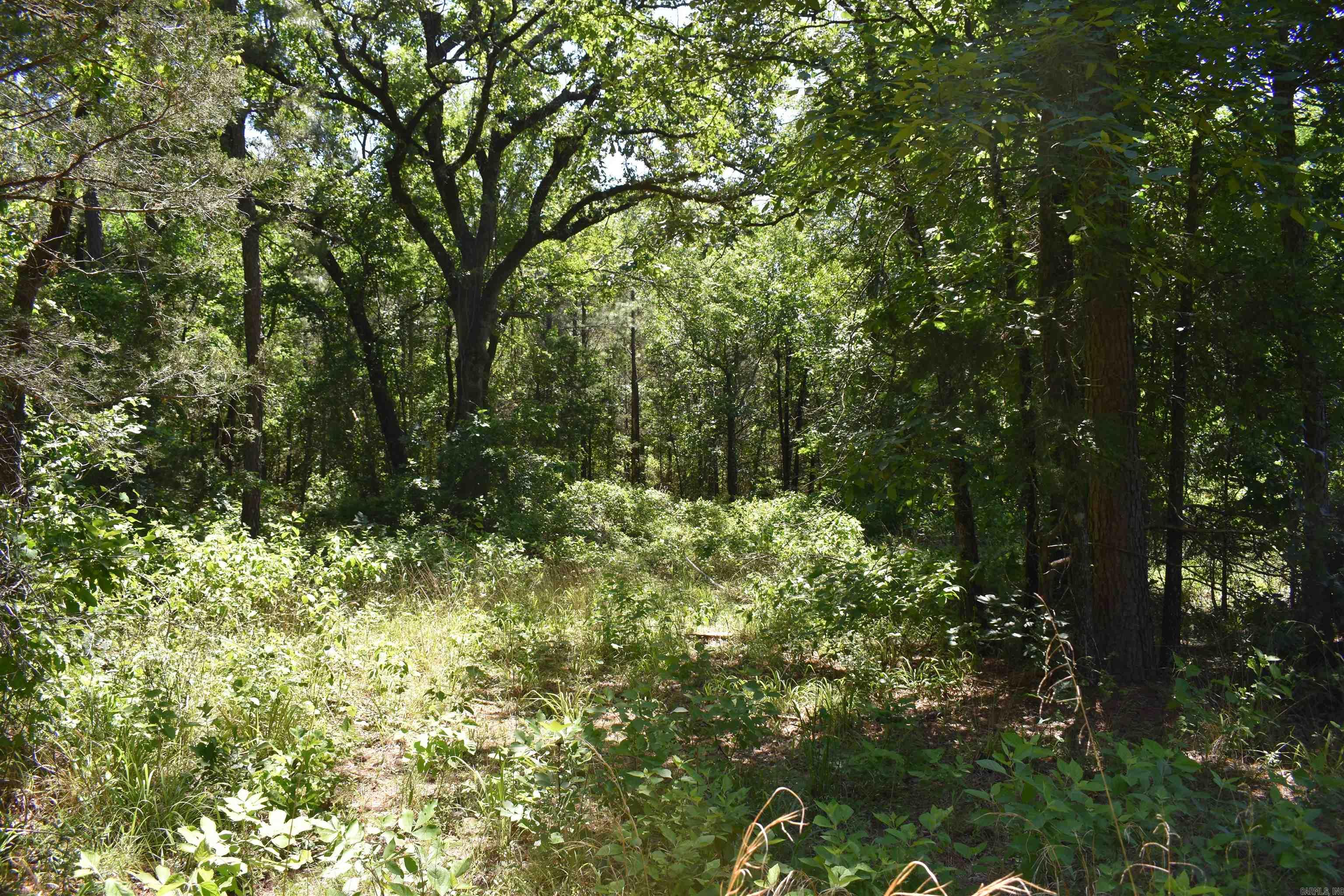 240  Valley View Road  Booneville, AR