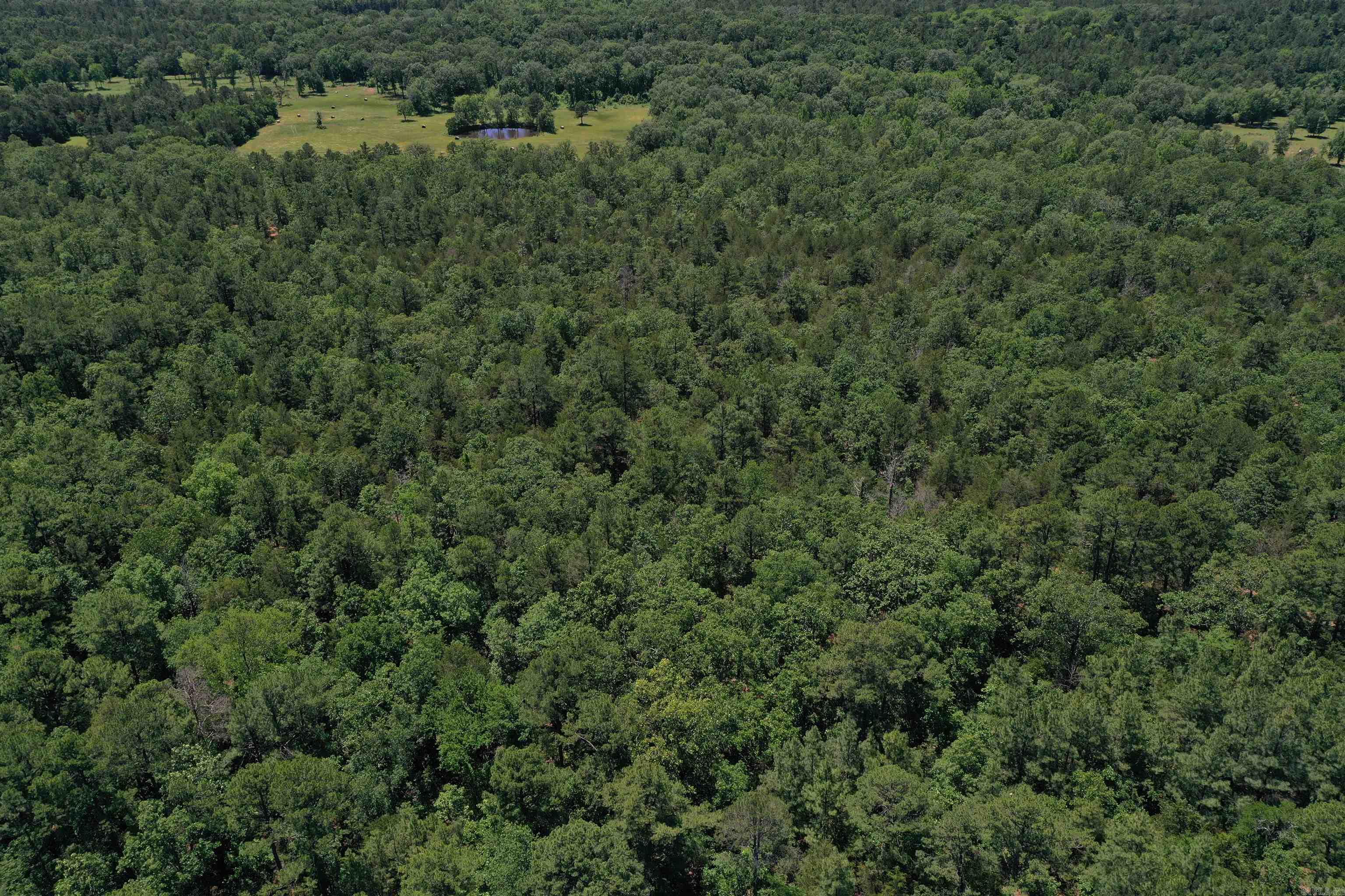 240  Valley View Road  Booneville, AR