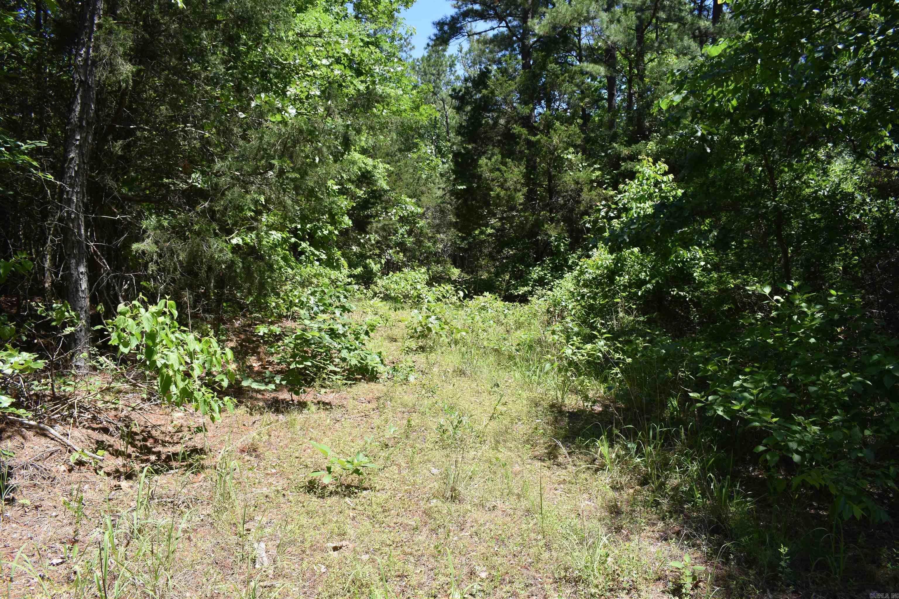 240  Valley View Road  Booneville, AR