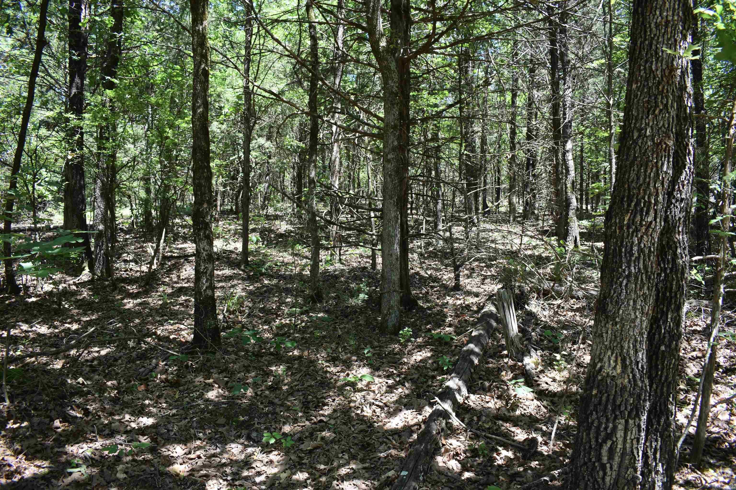 240  Valley View Road  Booneville, AR