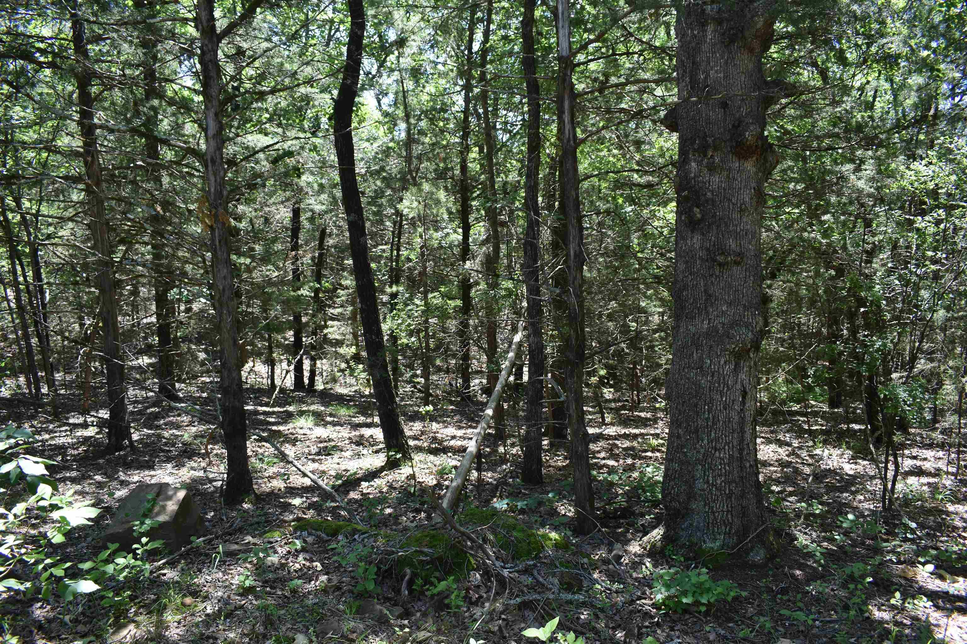 240  Valley View Road  Booneville, AR