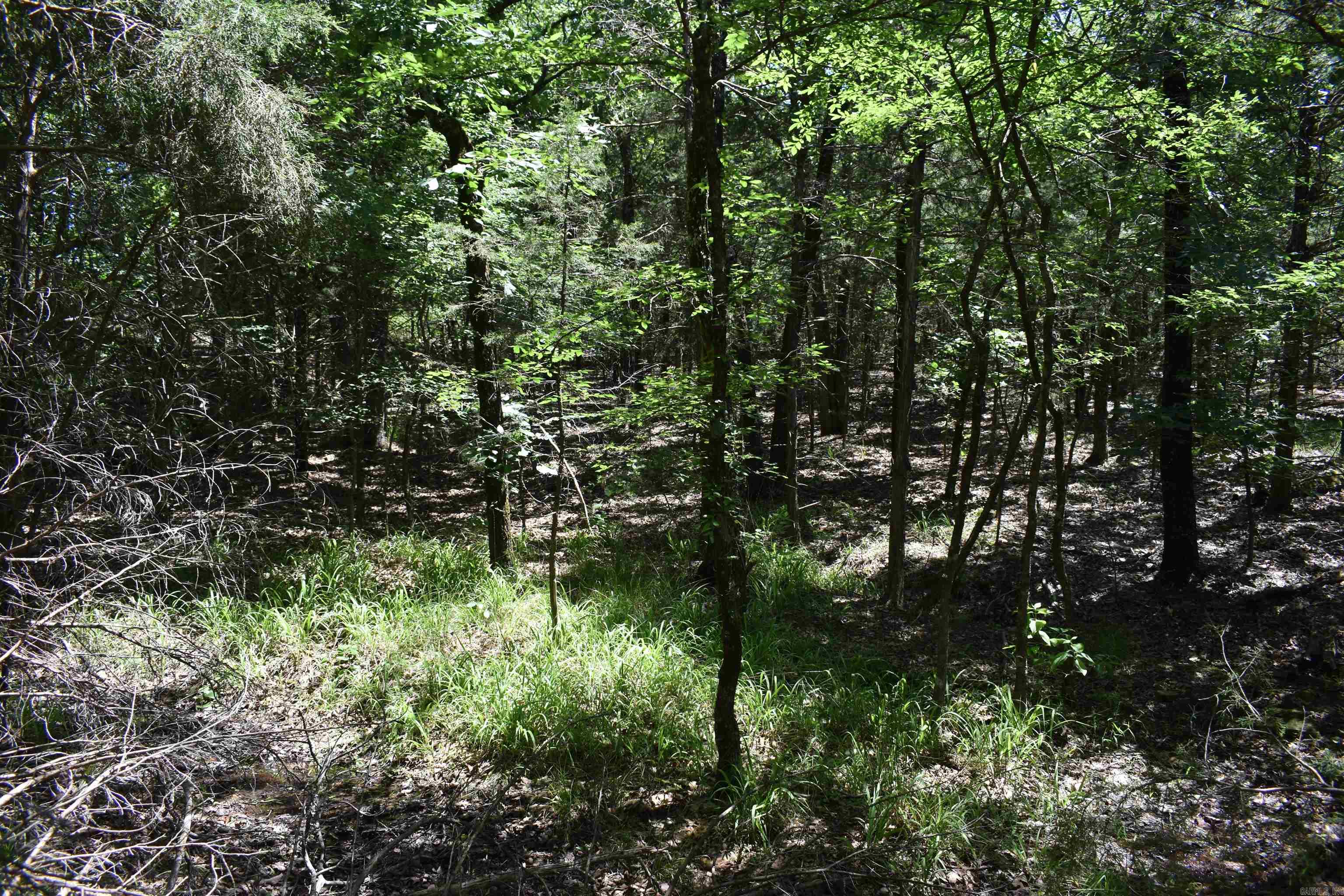 240  Valley View Road  Booneville, AR