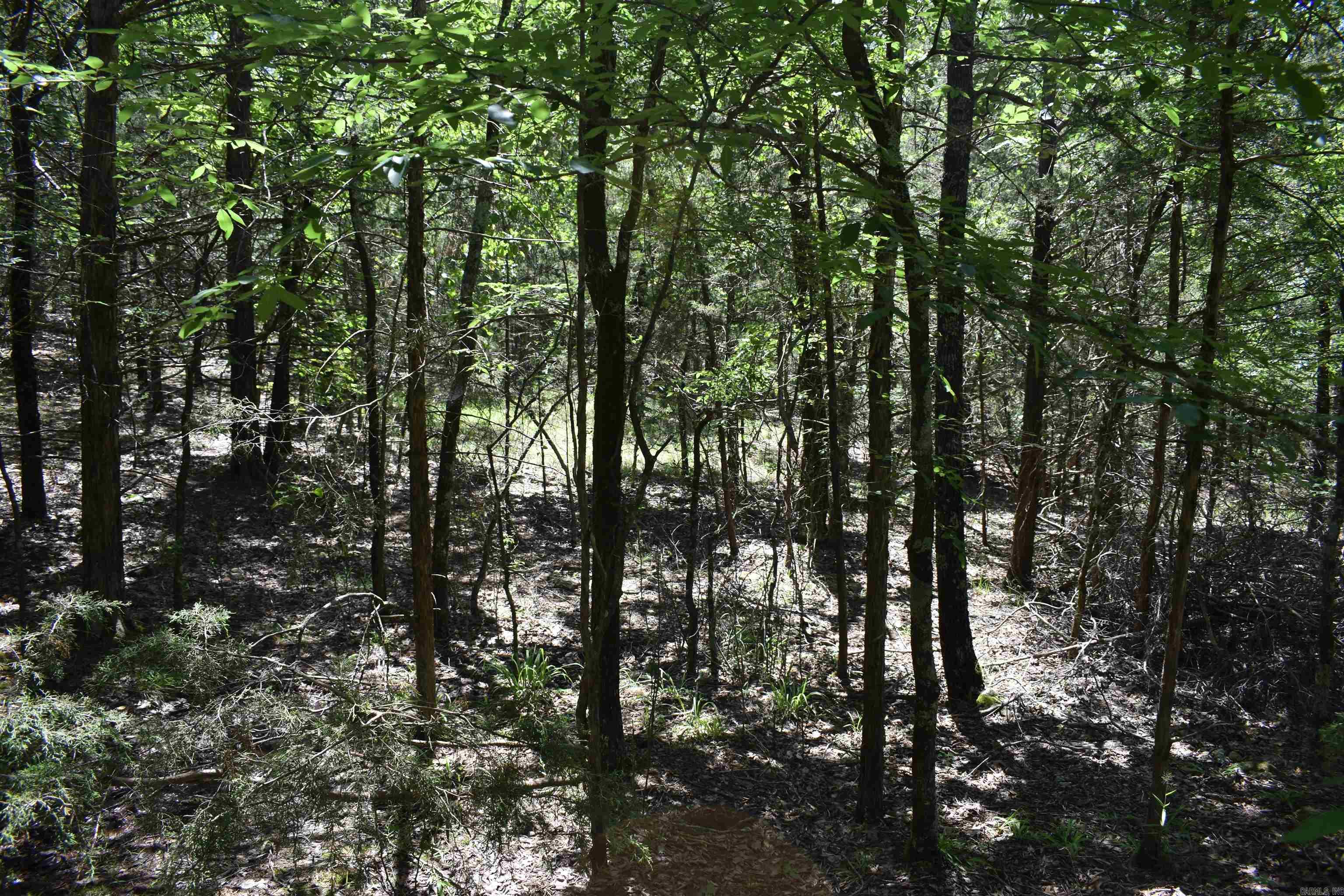 240  Valley View Road  Booneville, AR
