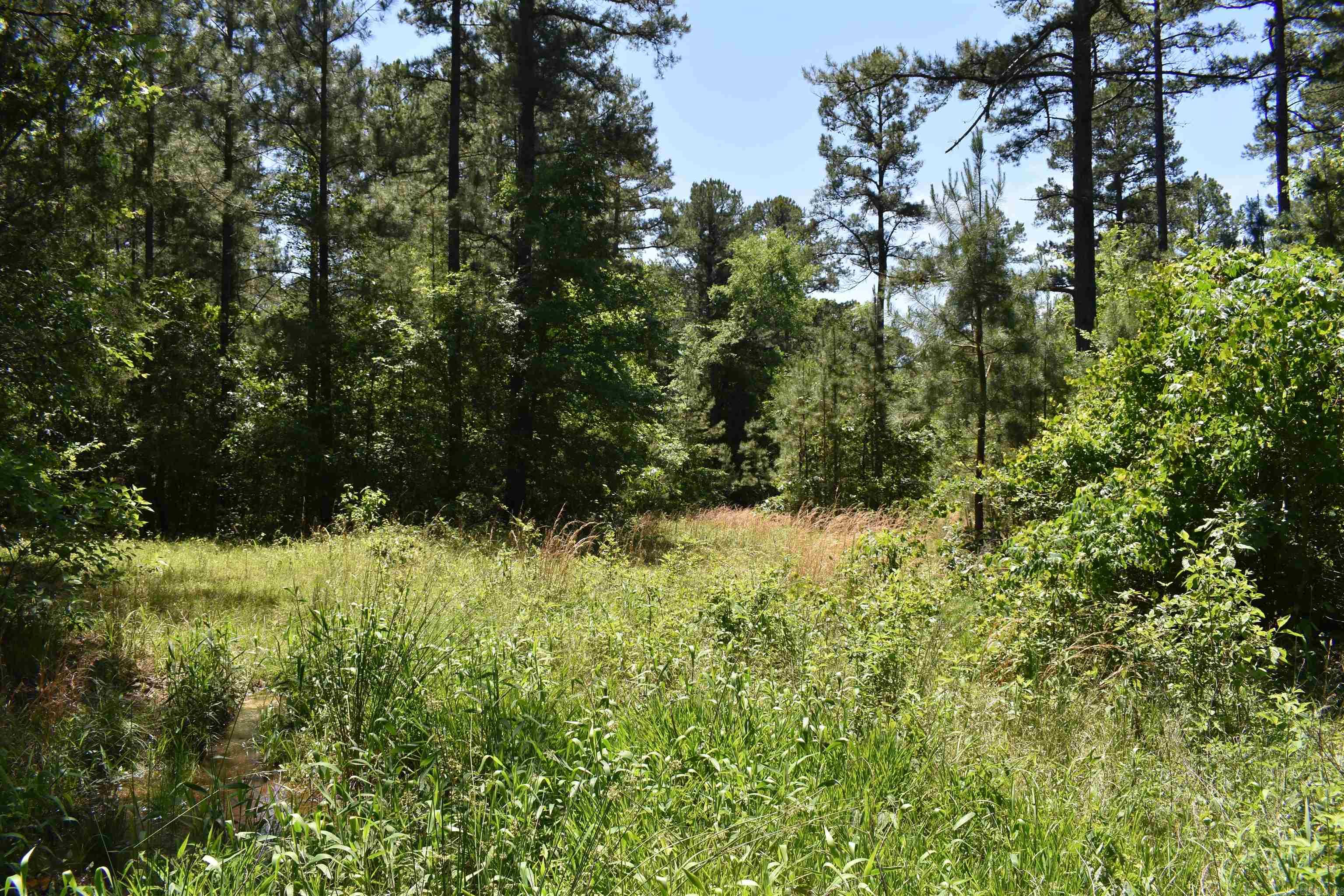 240  Valley View Road  Booneville, AR