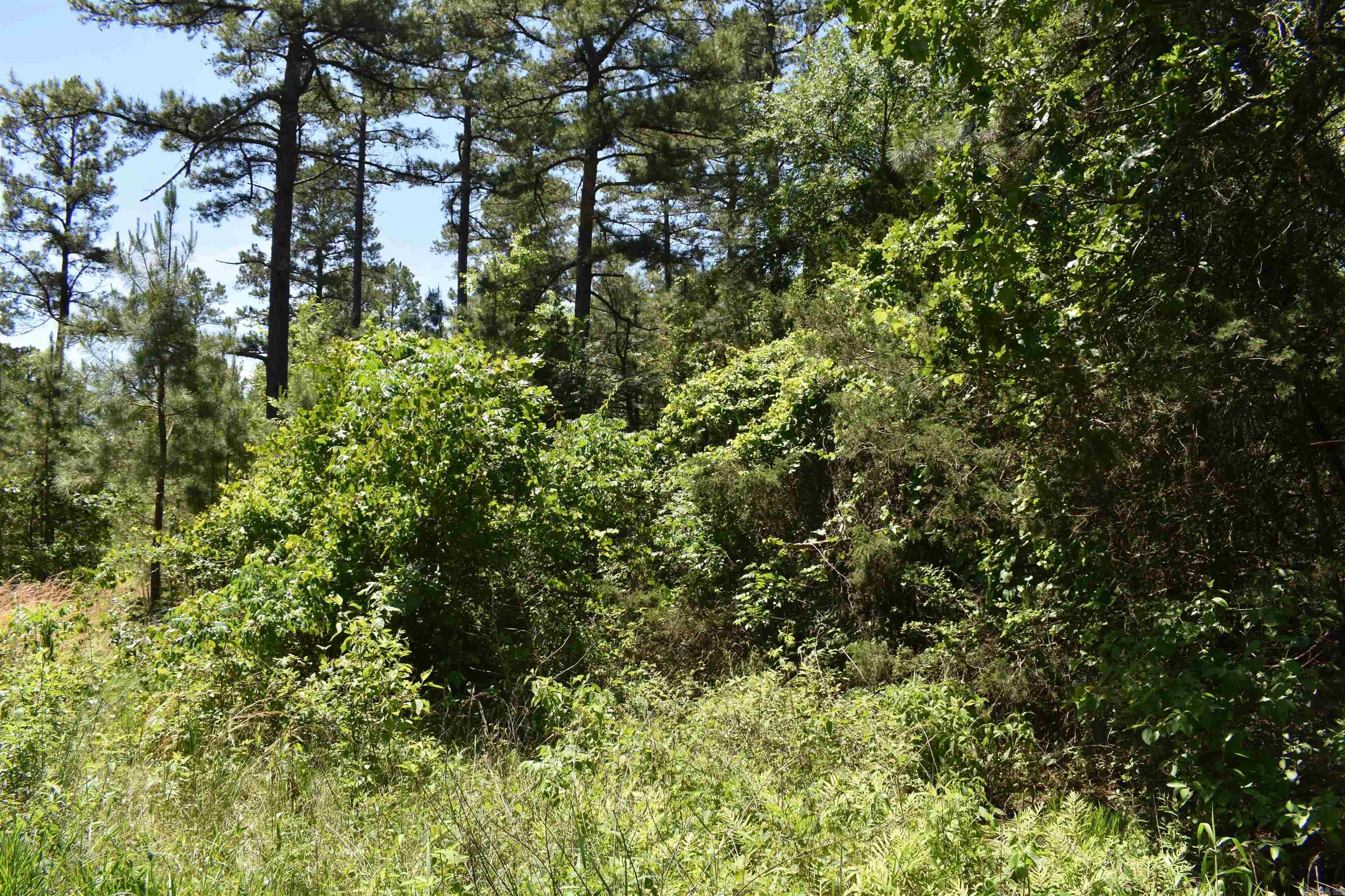240  Valley View Road  Booneville, AR