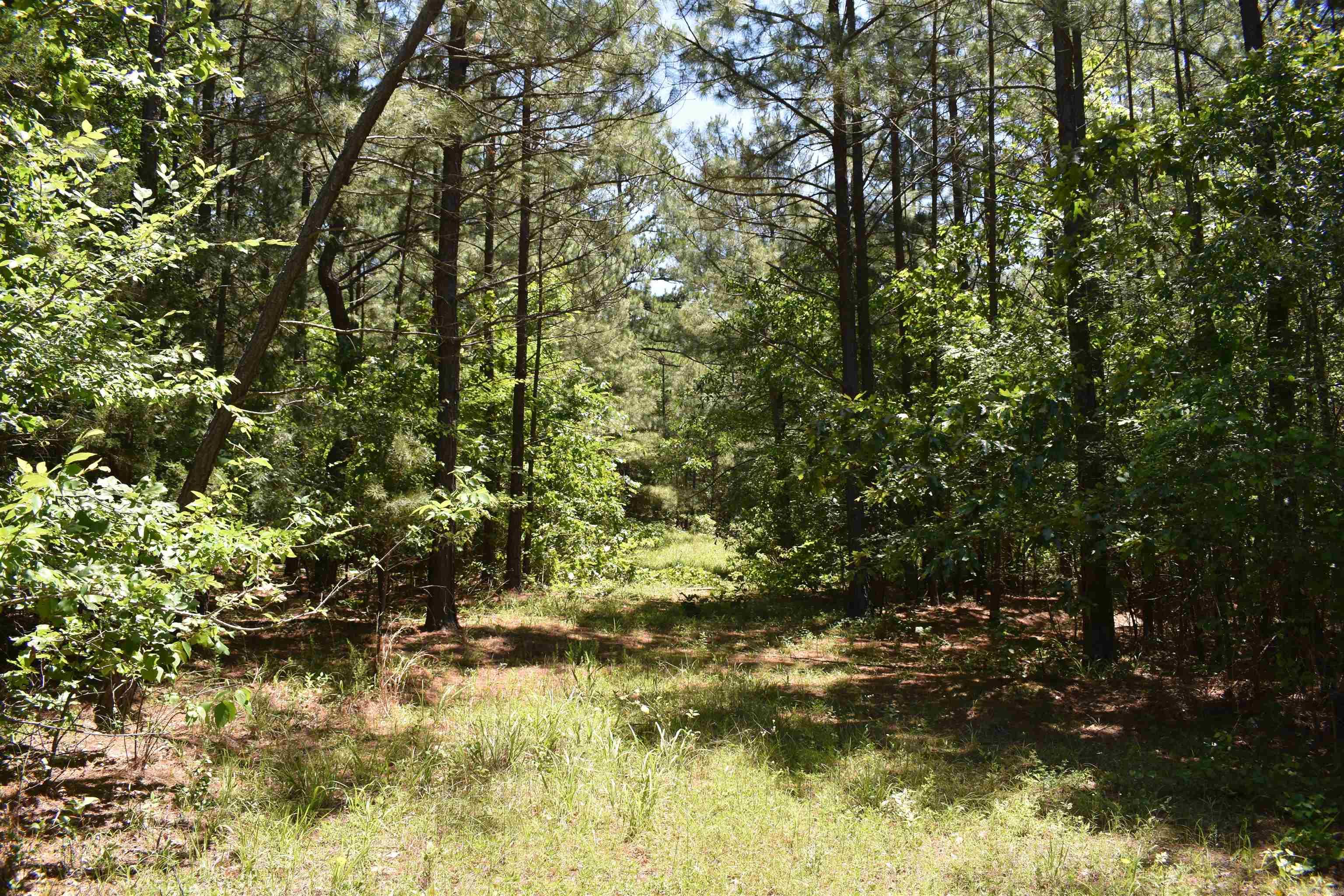 240  Valley View Road  Booneville, AR