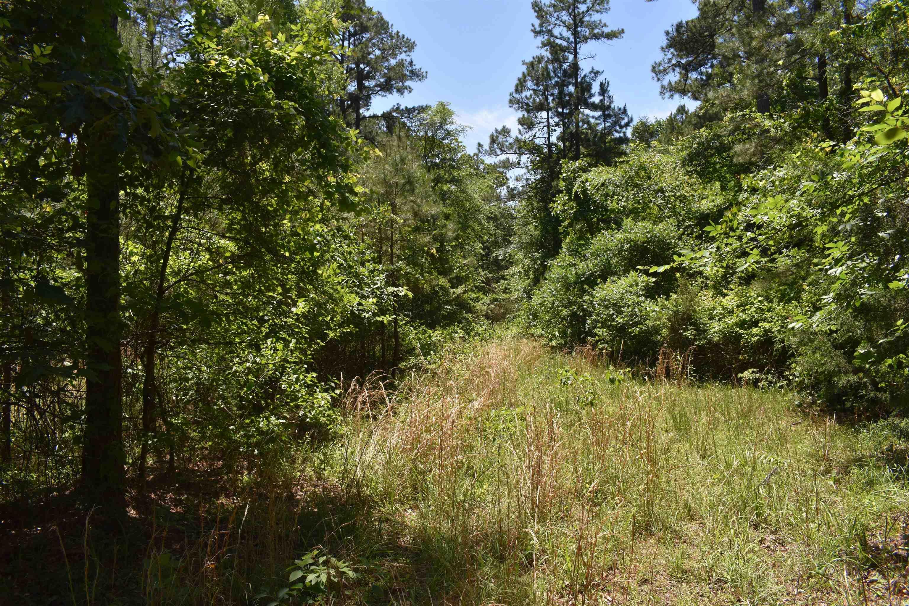 240  Valley View Road  Booneville, AR