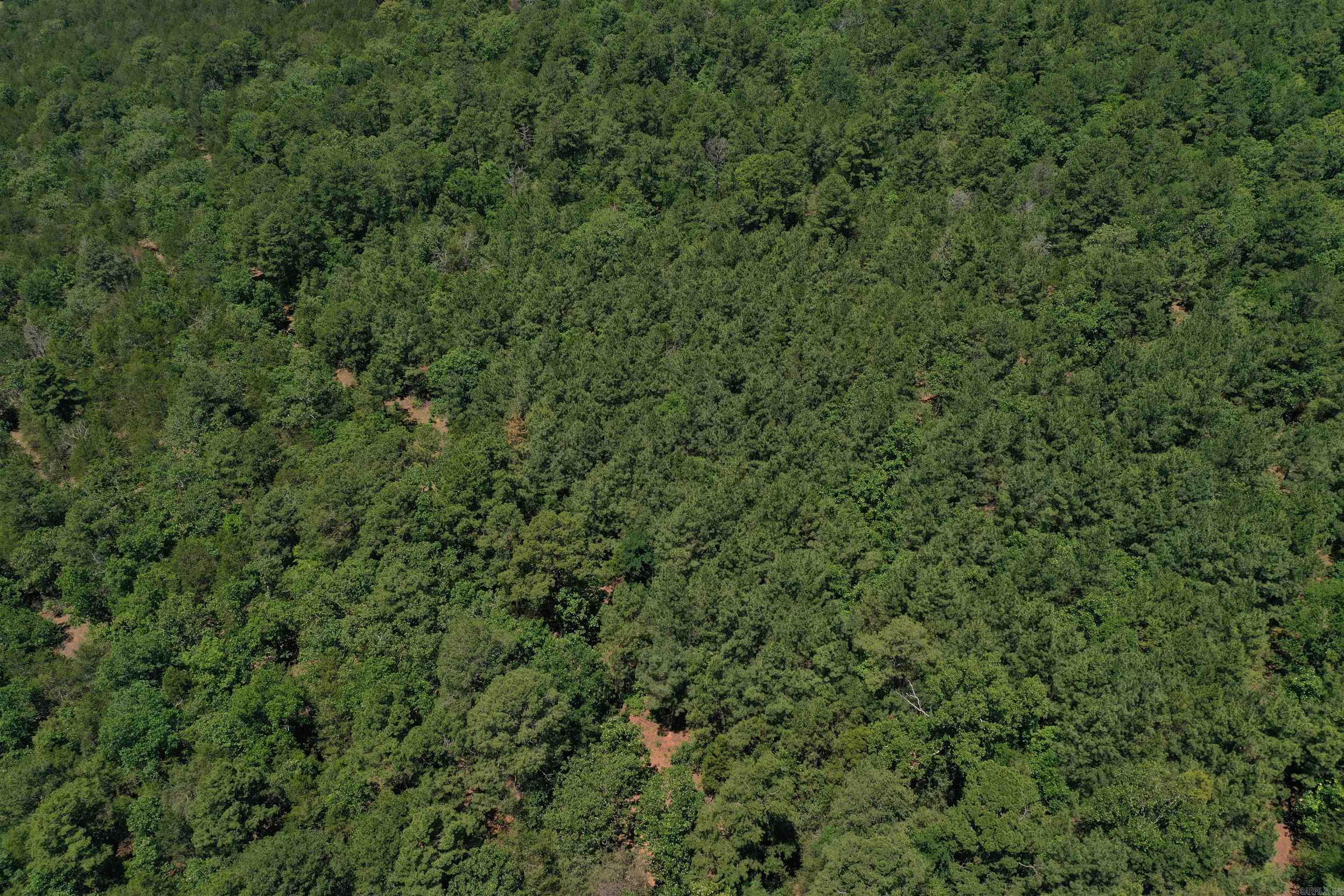 240  Valley View Road  Booneville, AR