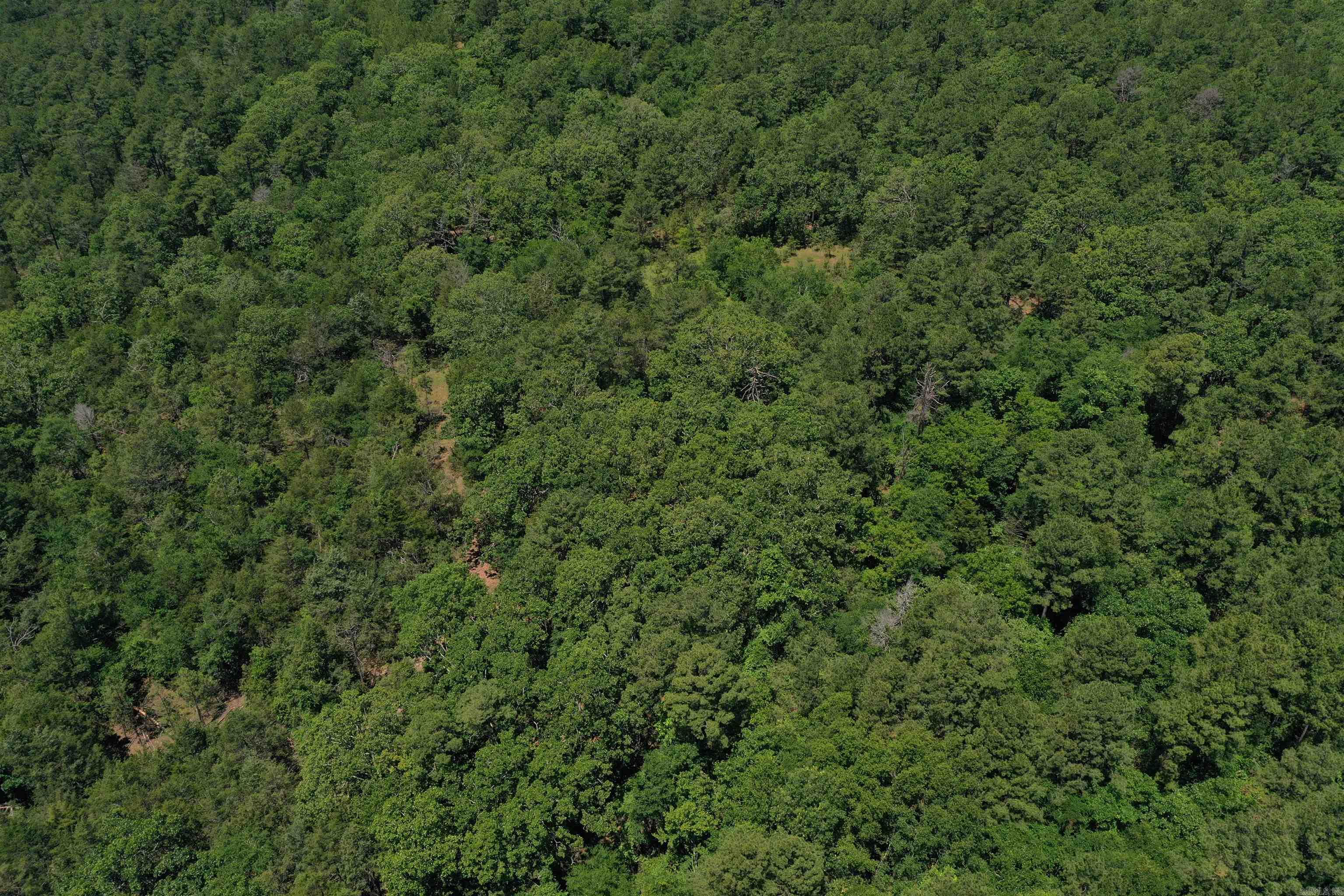 240  Valley View Road  Booneville, AR