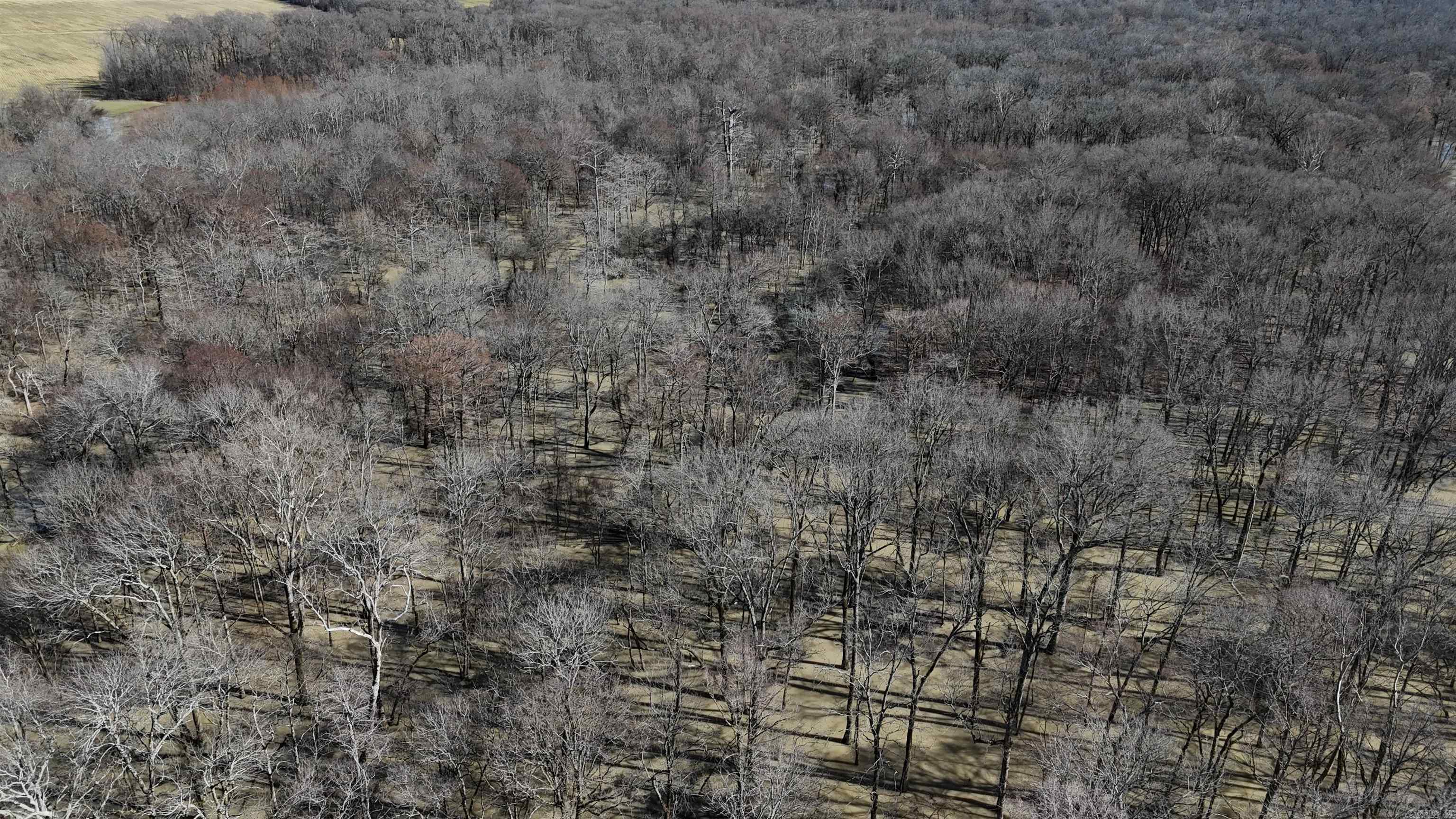 000  Phillips County 115  Marvell, AR