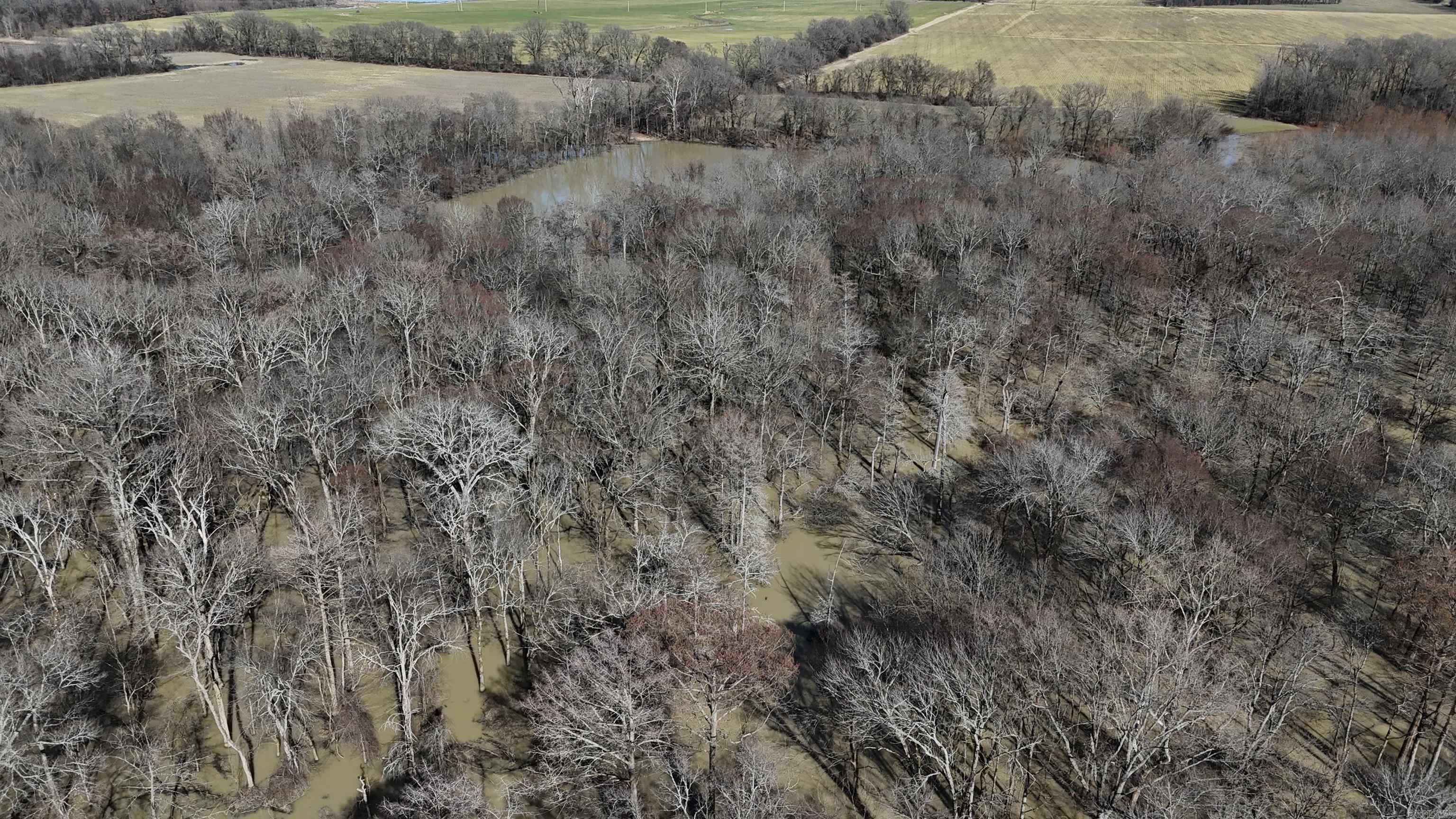 000  Phillips County 115  Marvell, AR