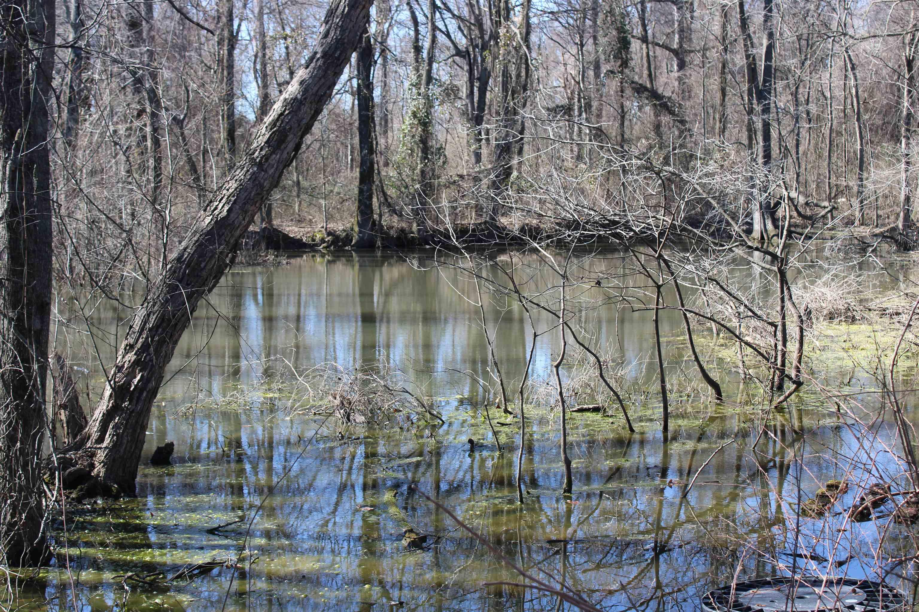 000  Phillips County 115  Marvell, AR