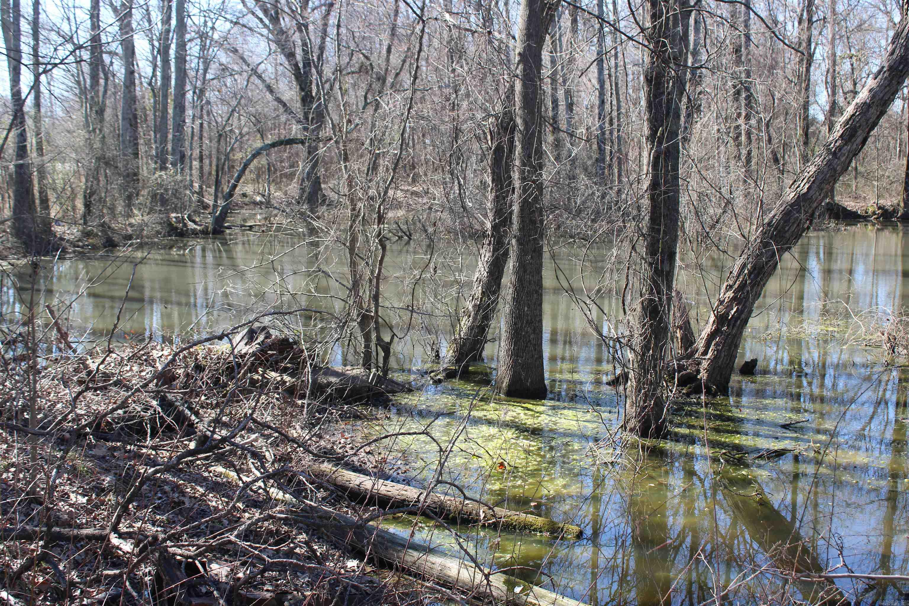 000  Phillips County 115  Marvell, AR