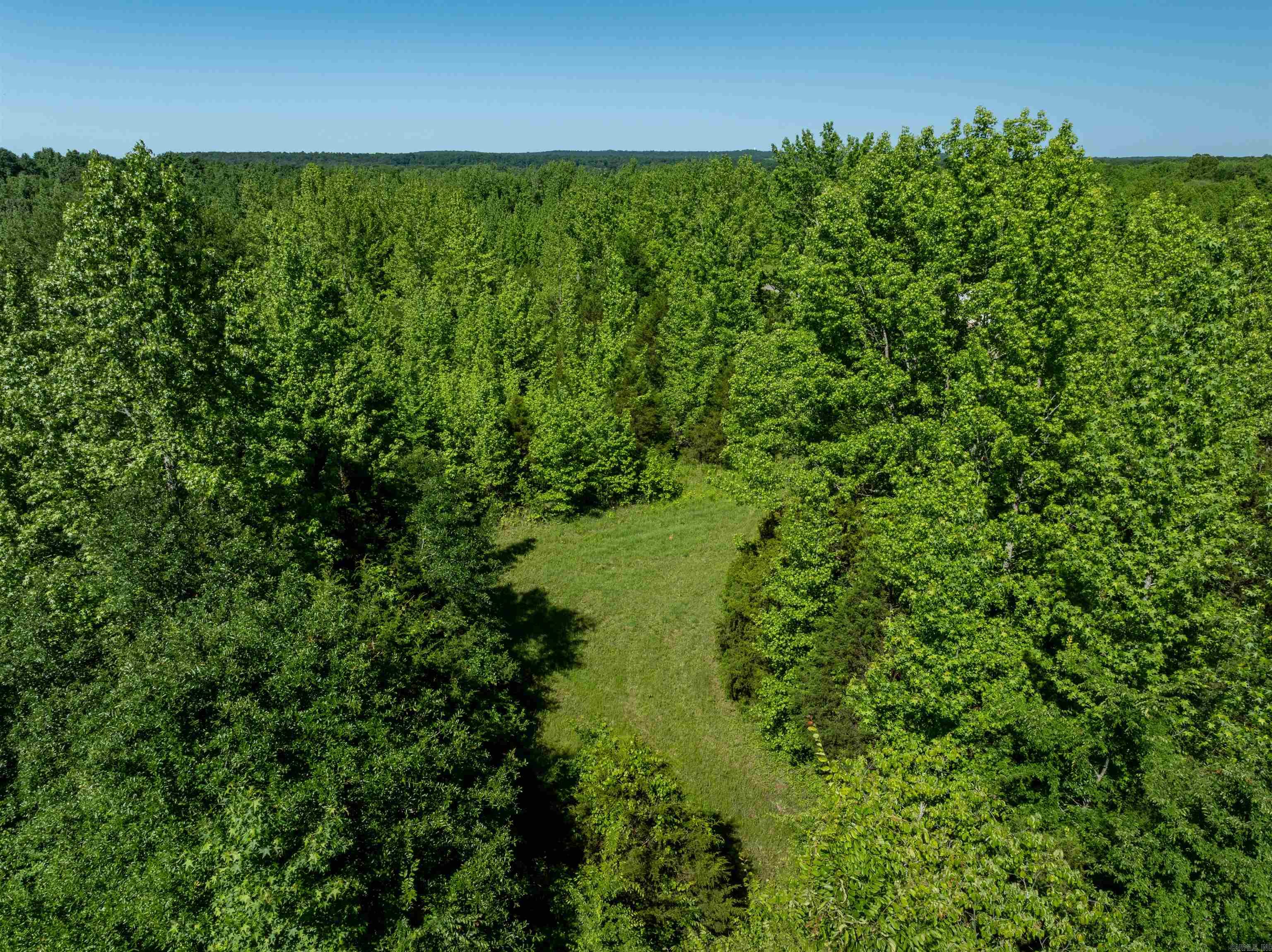 494  Scoggins  Bradford, AR